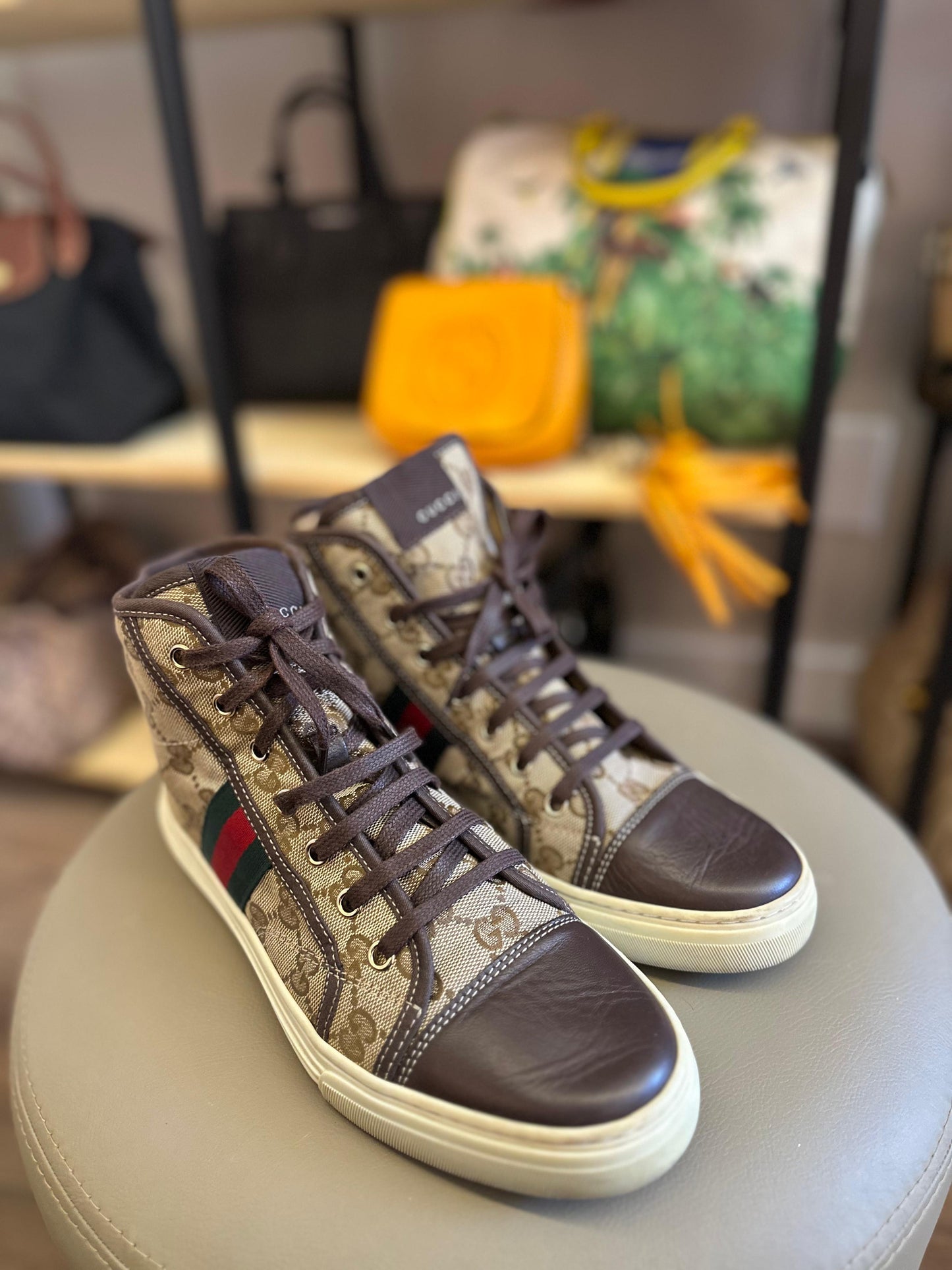Tenis Gucci 1977 Monograma Cano longo