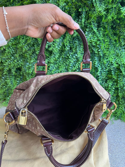Louis Vuitton Speedy Bandouliere Mini Lin
