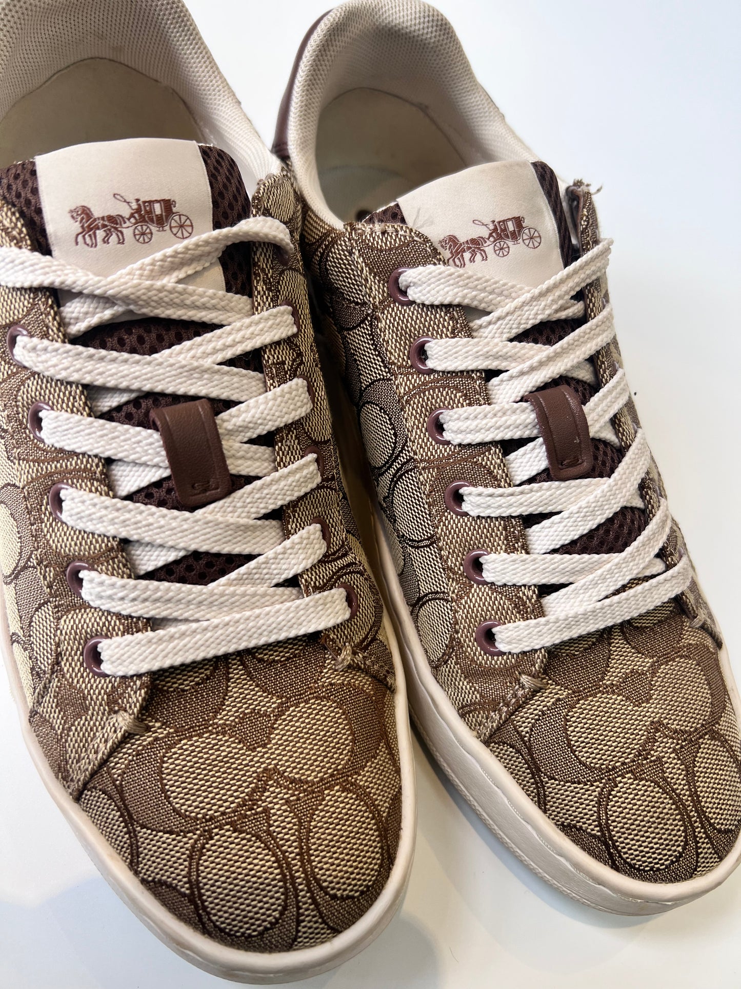 Tenis Coach Clip Low Top
