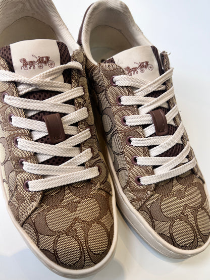 Tenis Coach Clip Low Top