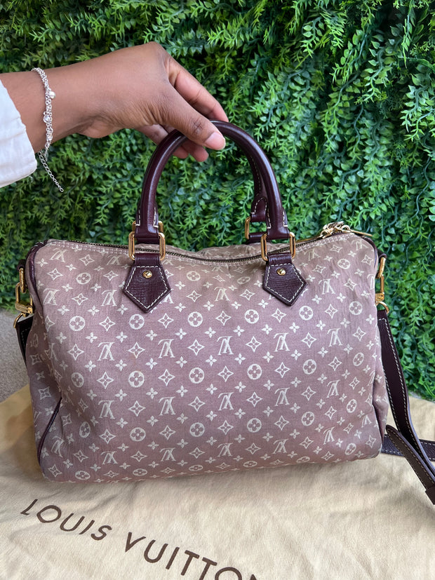 Louis Vuitton Speedy Bandouliere Mini Lin
