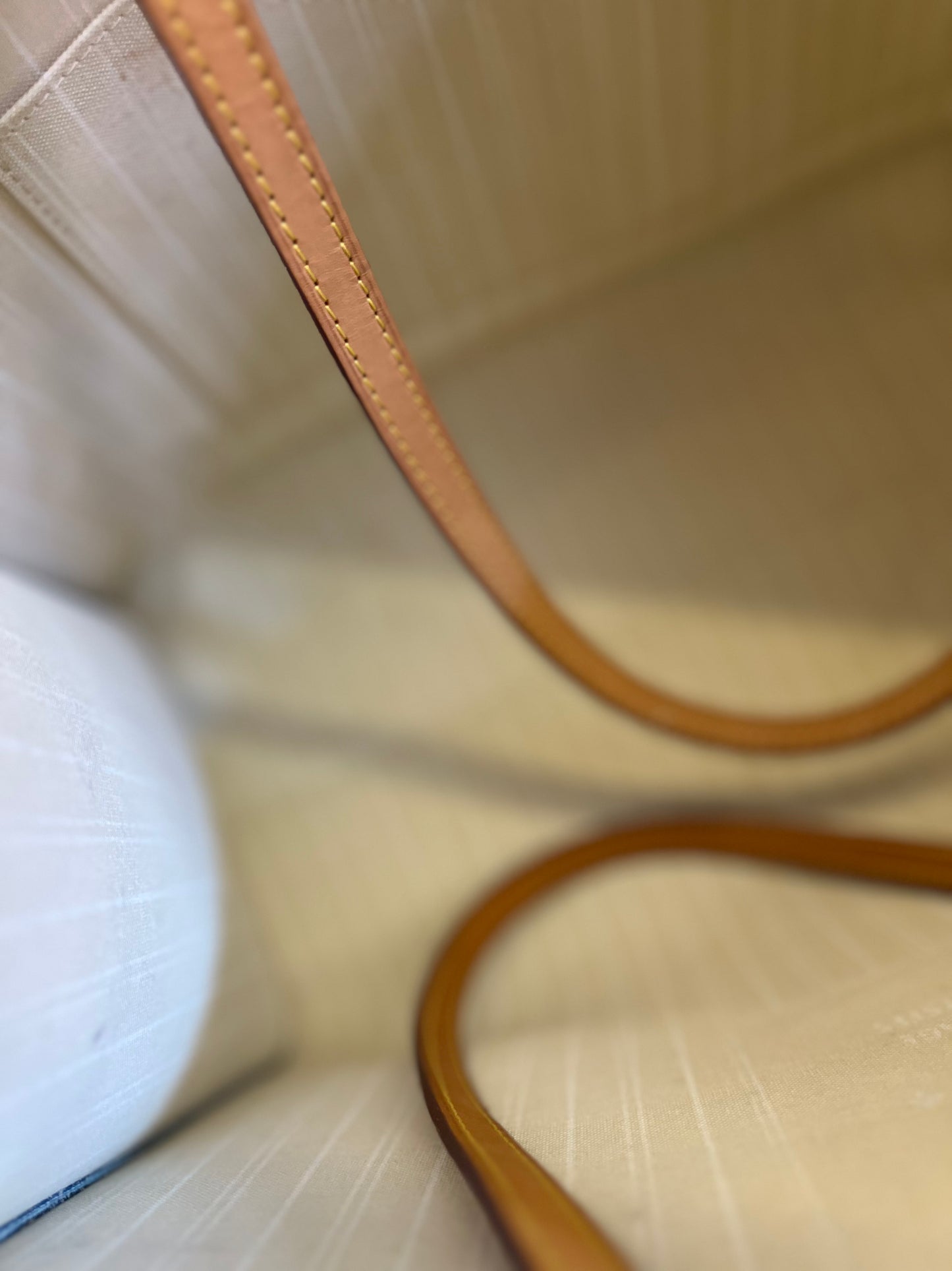 Louis Vuitton On the go By the Pool GM