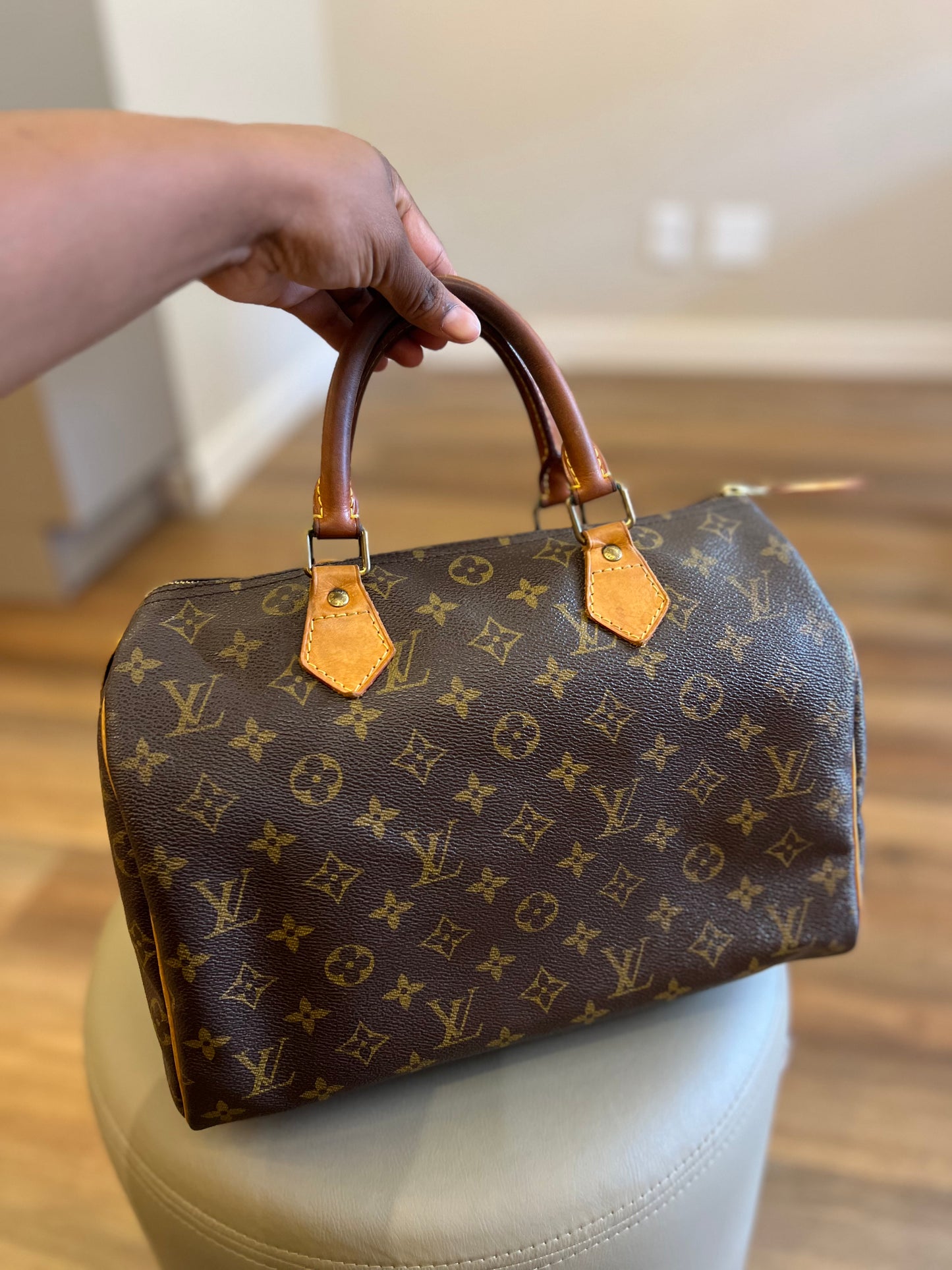 Louis Vuitton Speedy 30 Monograma