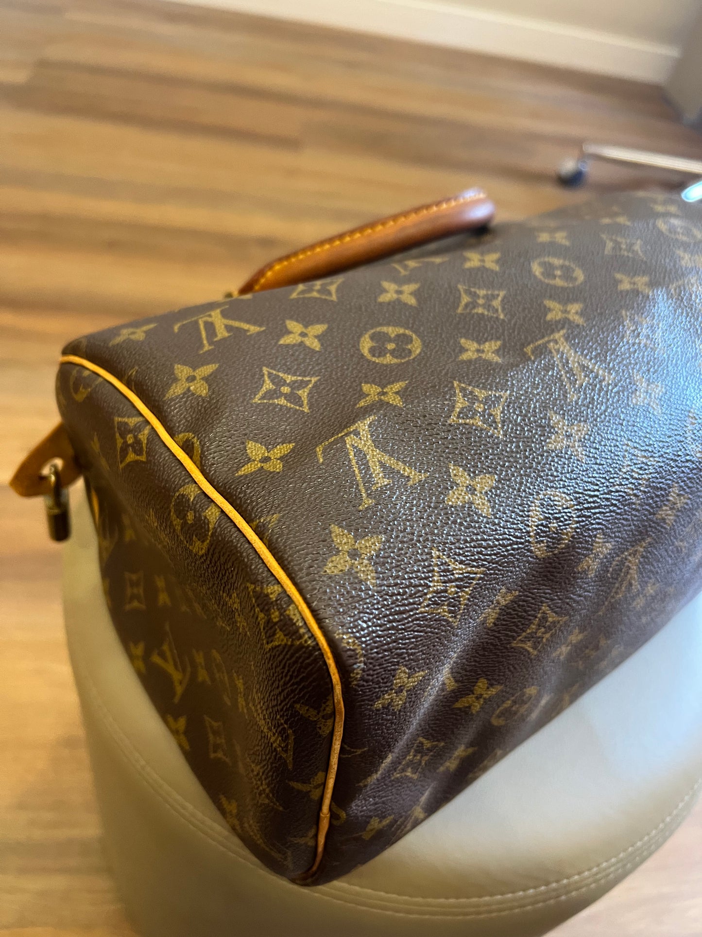 Louis Vuitton Speedy 30 Monograma