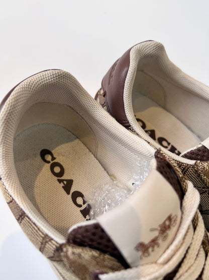 Tenis Coach Clip Low Top