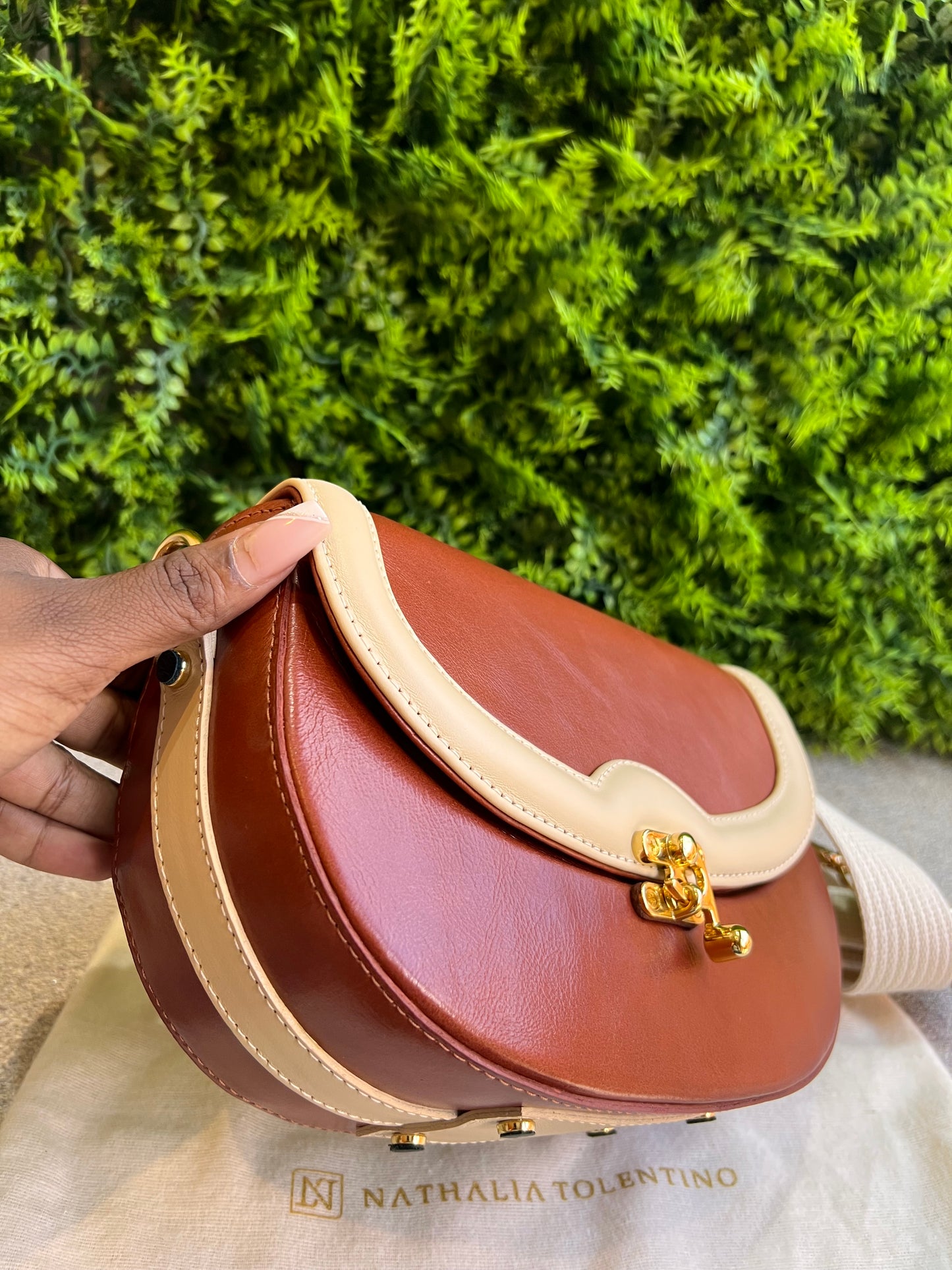 Nathalia Tolentino bicolor