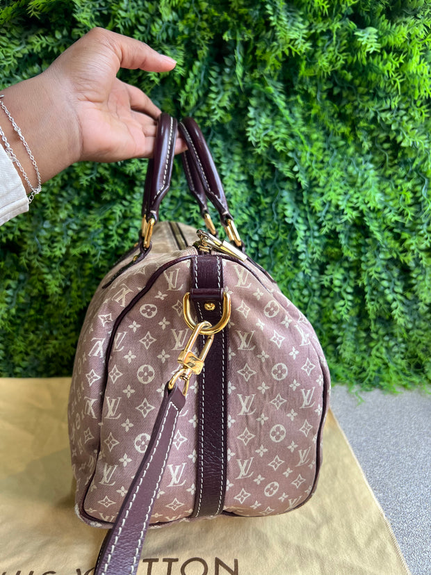Louis Vuitton Speedy Bandouliere Mini Lin