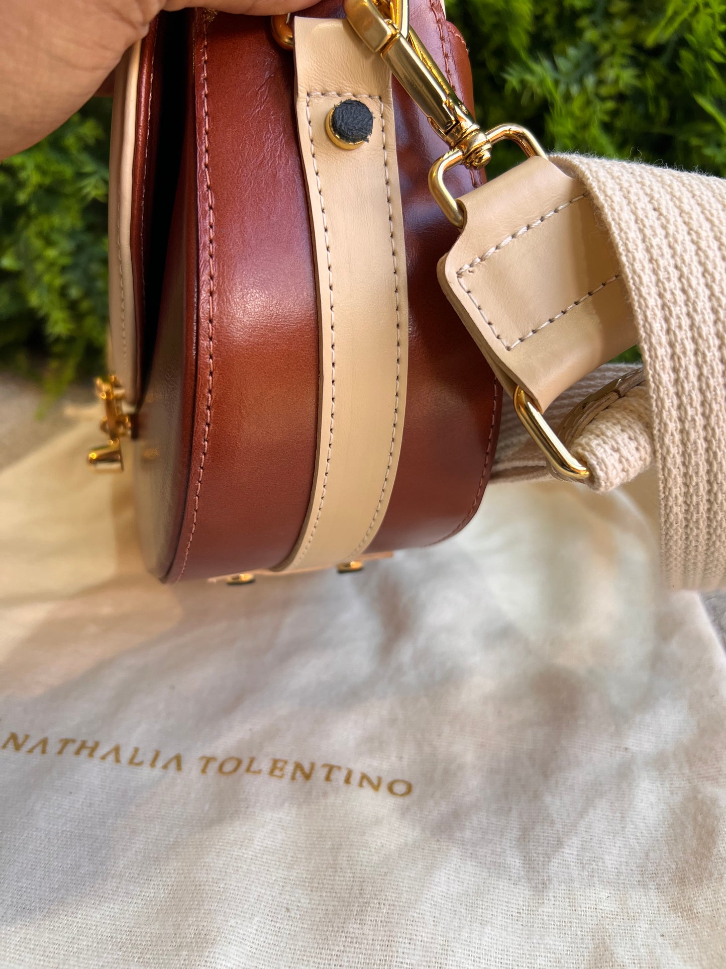 Nathalia Tolentino bicolor