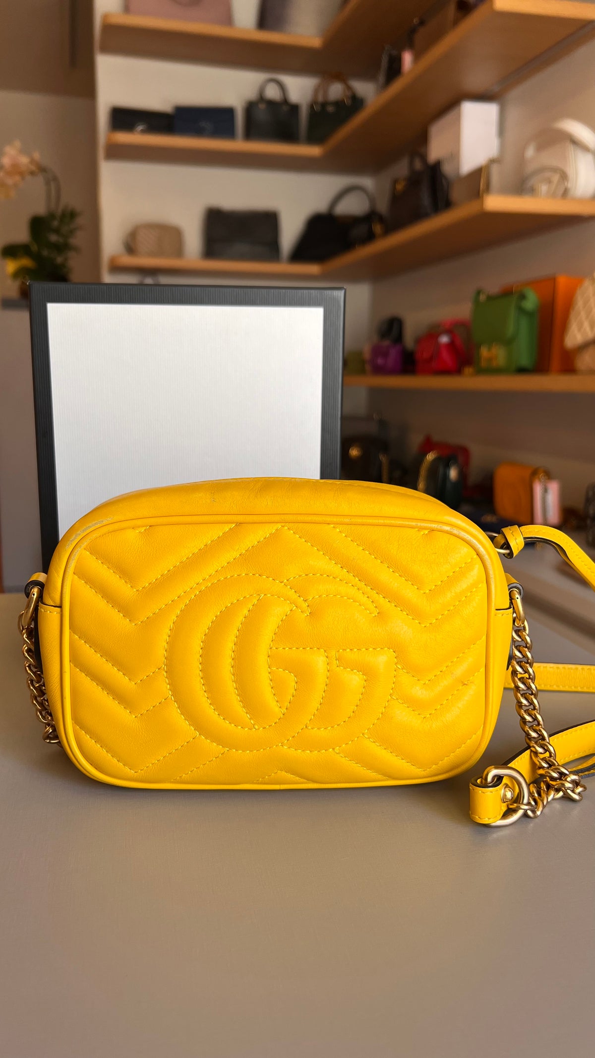 Gucci Marmont Mini Amarela