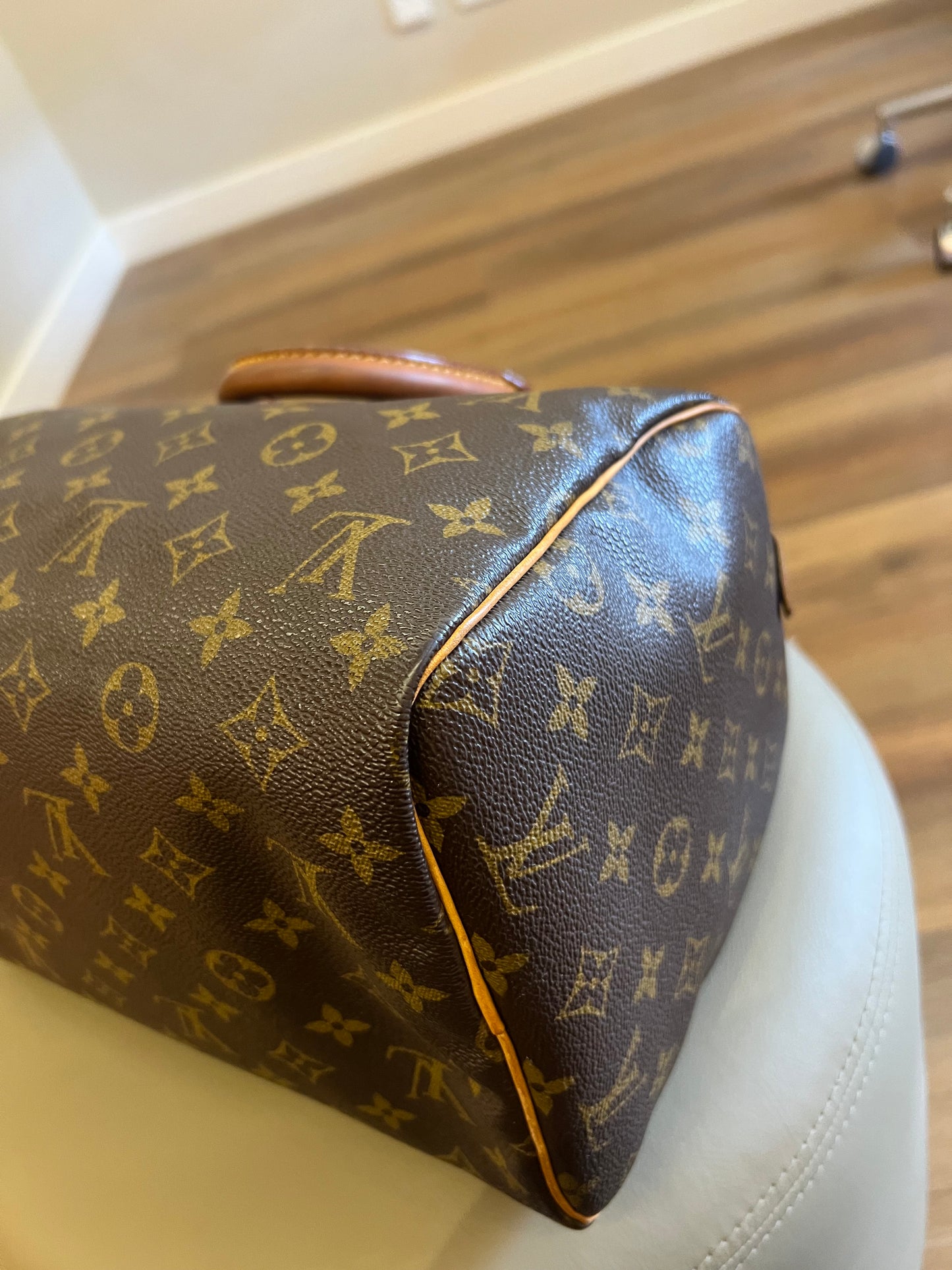 Louis Vuitton Speedy 30 Monograma