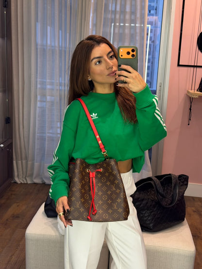 Louis Vuitton Néo Noé Monogram MM