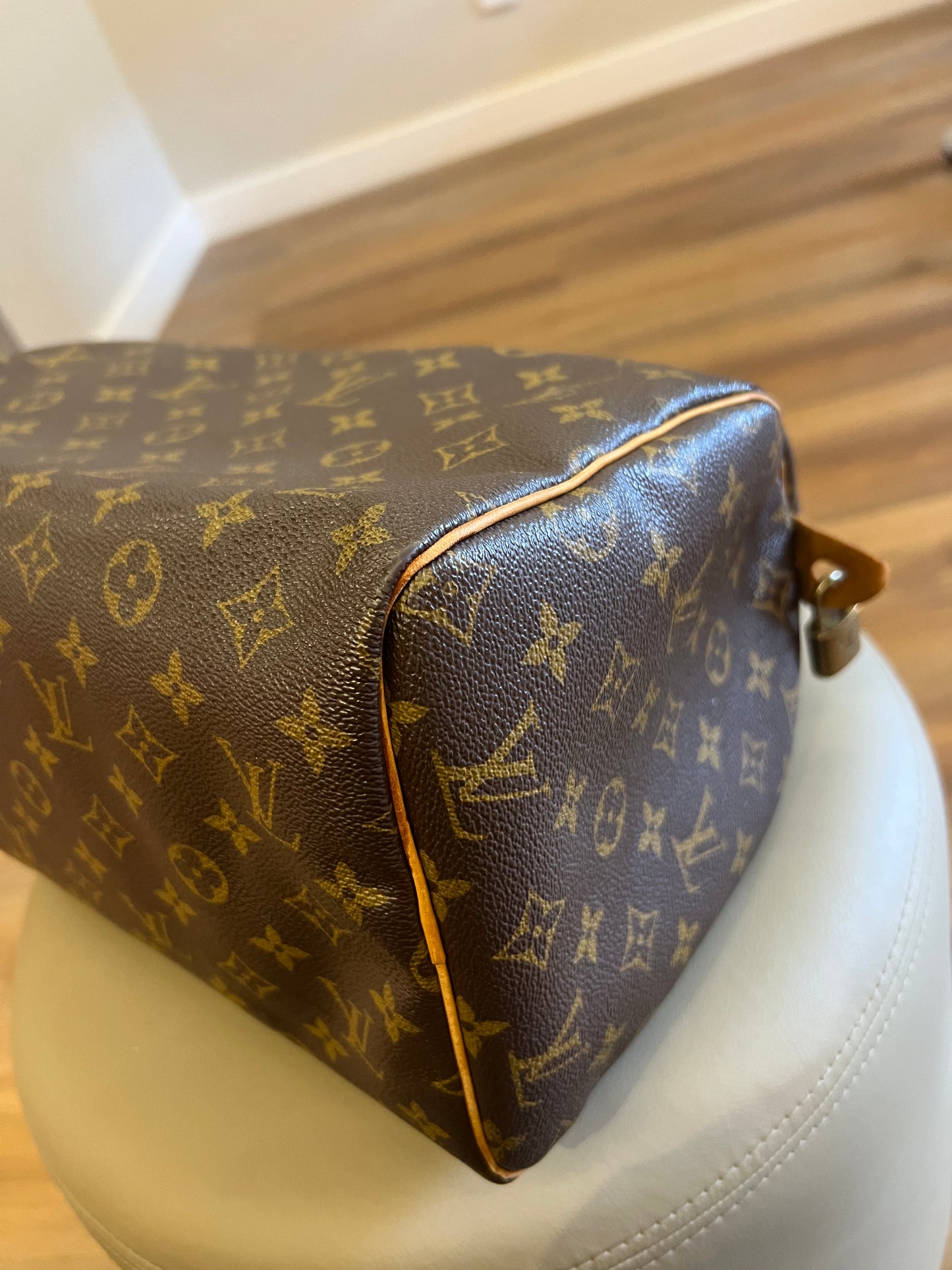 Louis Vuitton Speedy 30 Monograma