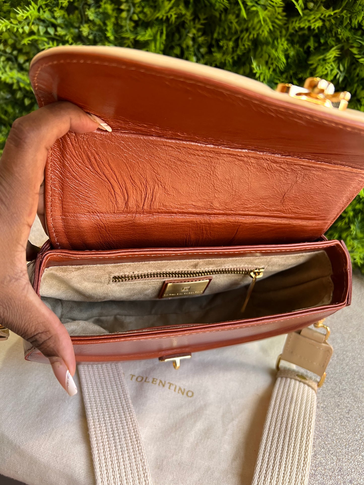 Nathalia Tolentino bicolor