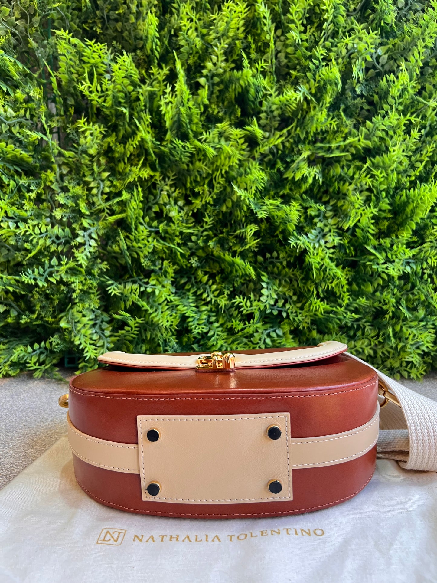 Nathalia Tolentino bicolor