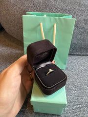 Aliança Tiffany Platina com Brilhante