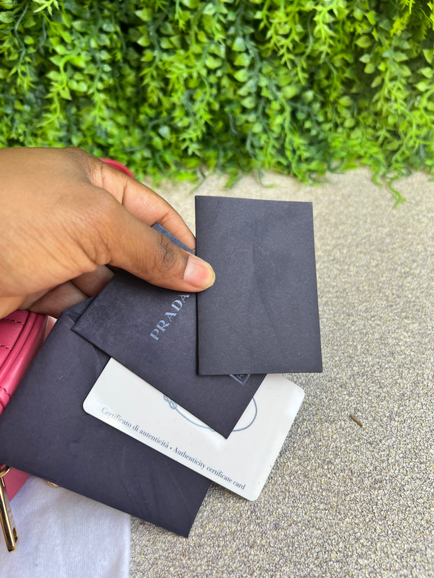 Prada Diagramme Camera Bag