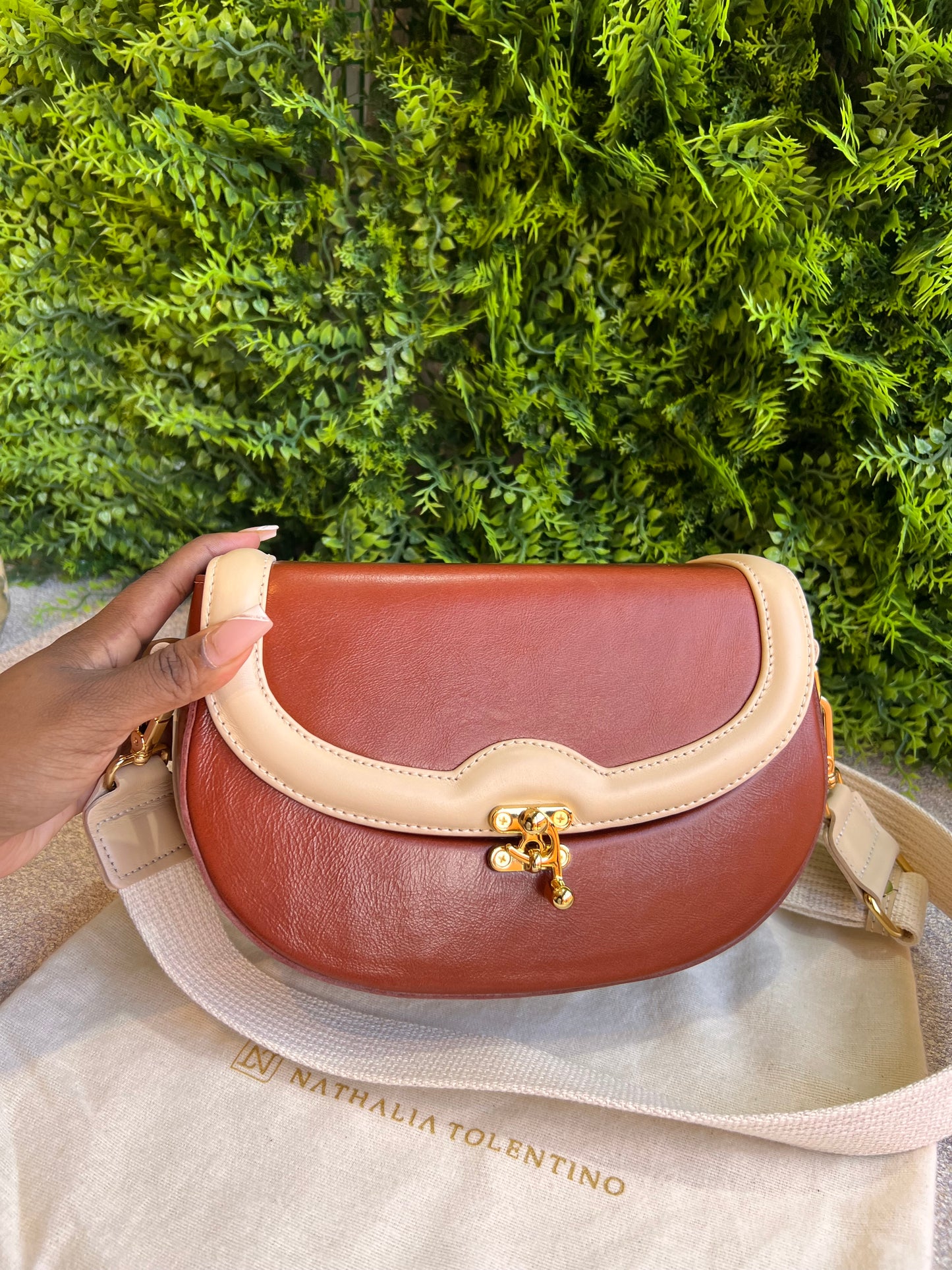 Nathalia Tolentino bicolor