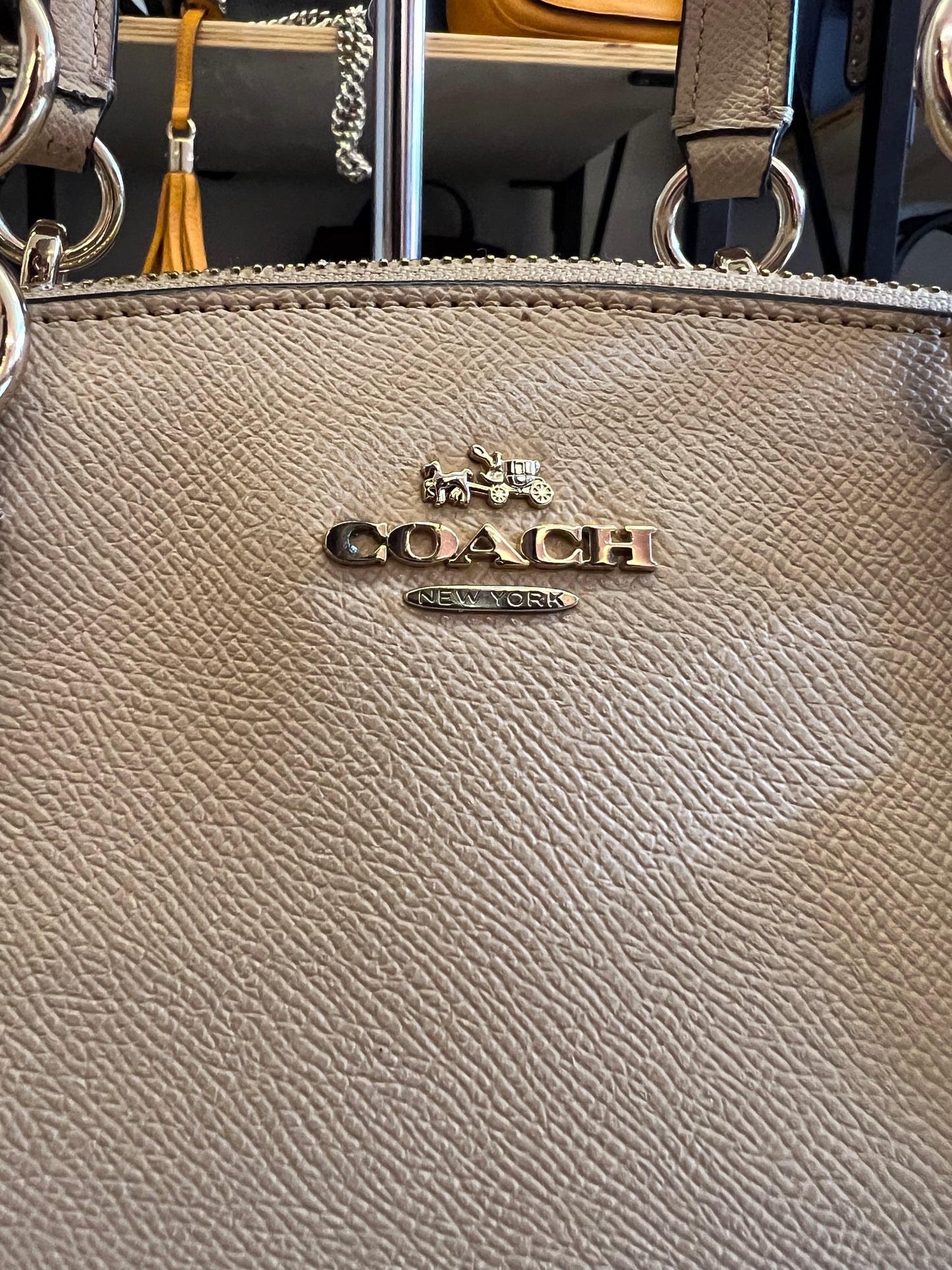 Coach Carryall Nude