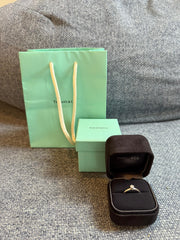 Aliança Tiffany Platina com Brilhante