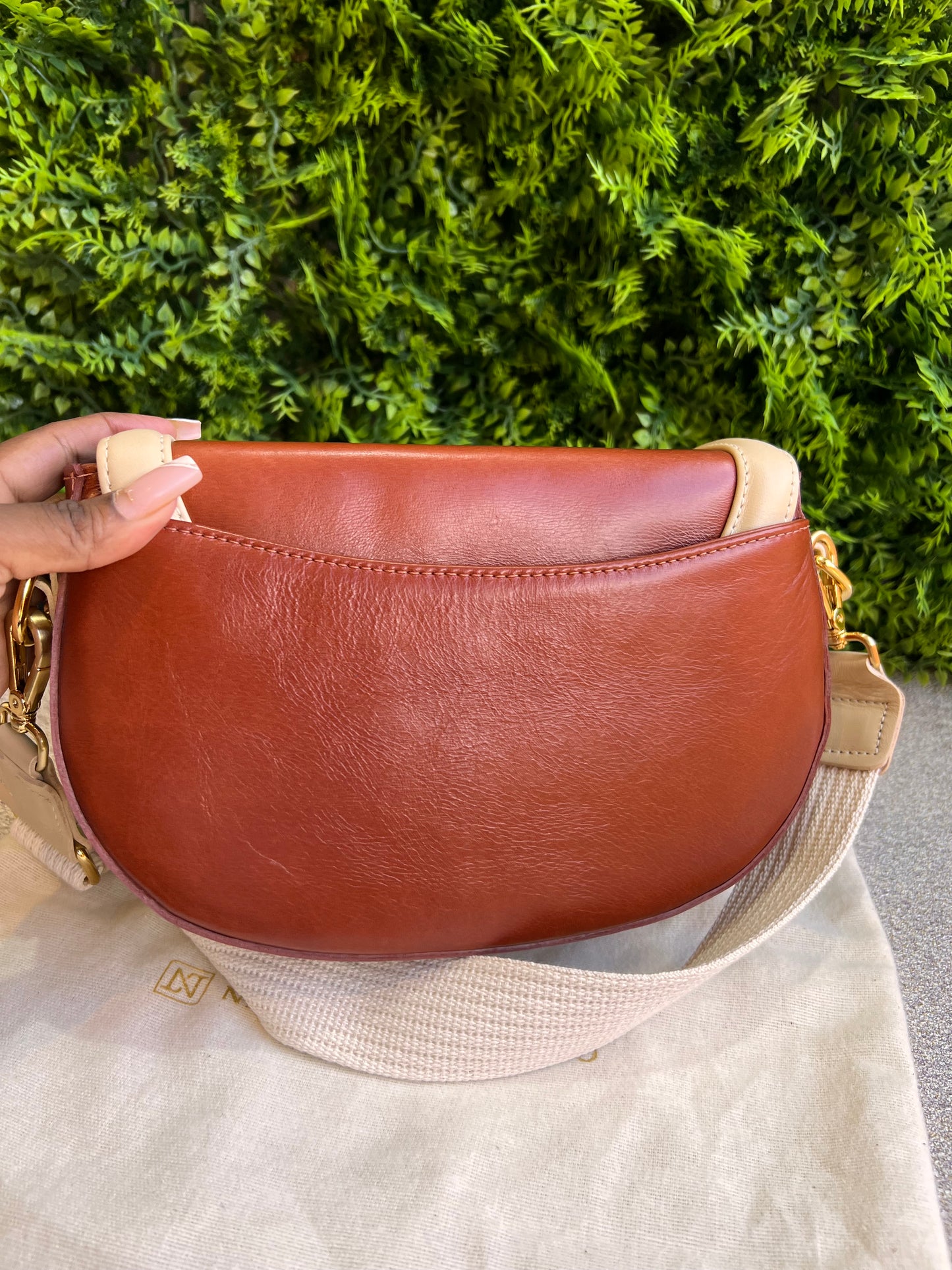 Nathalia Tolentino bicolor