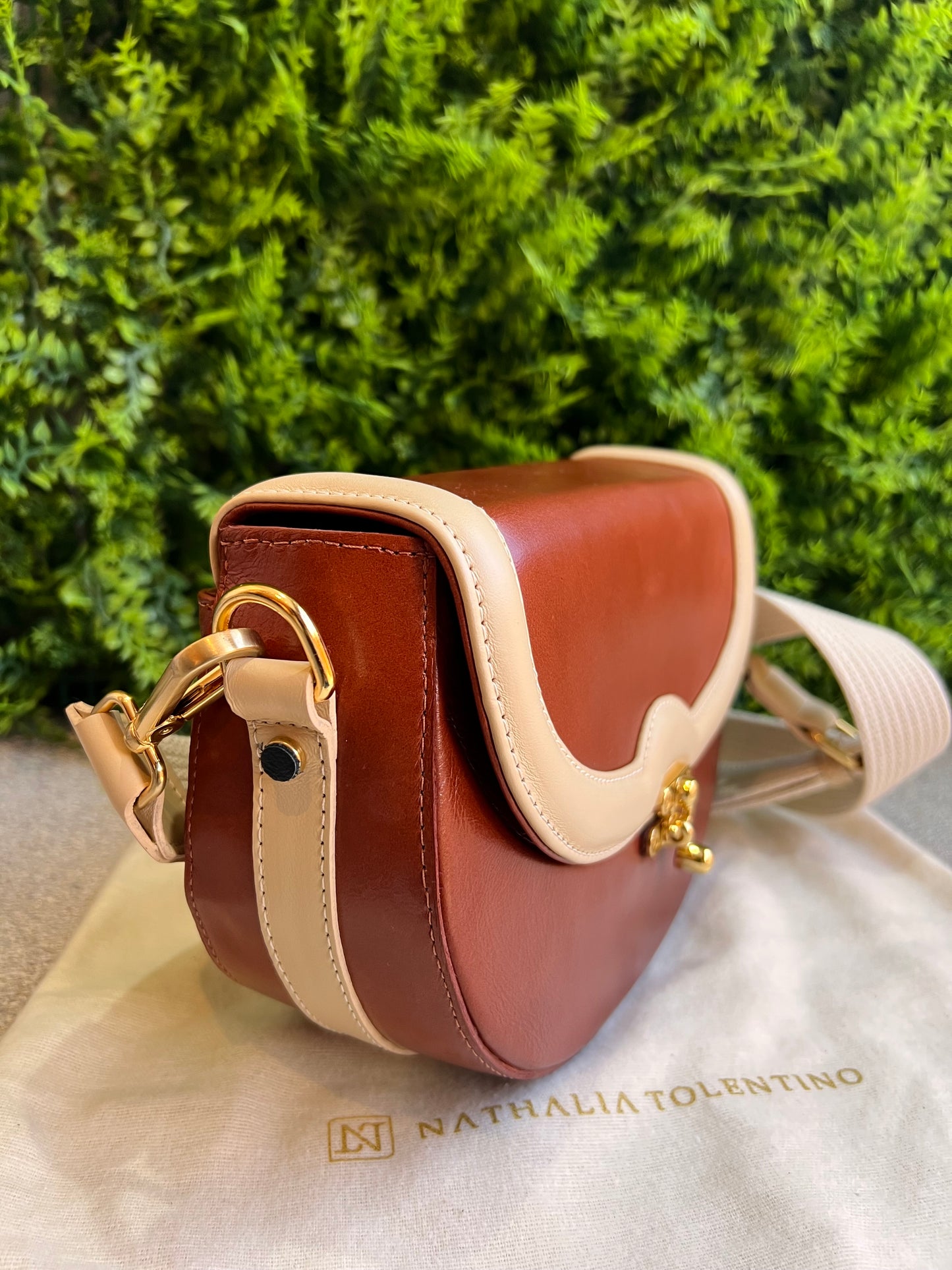 Nathalia Tolentino bicolor