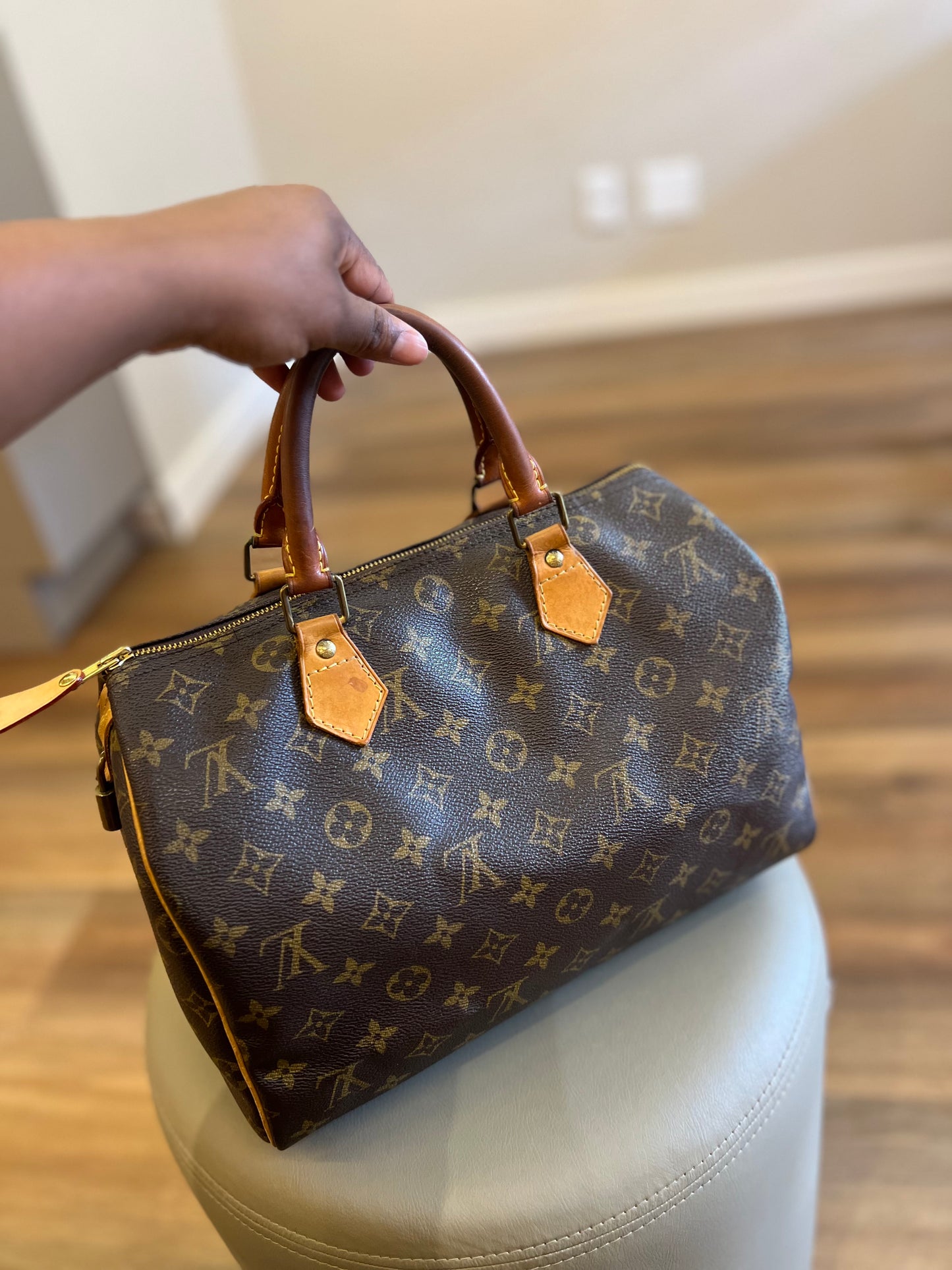 Louis Vuitton Speedy 30 Monograma