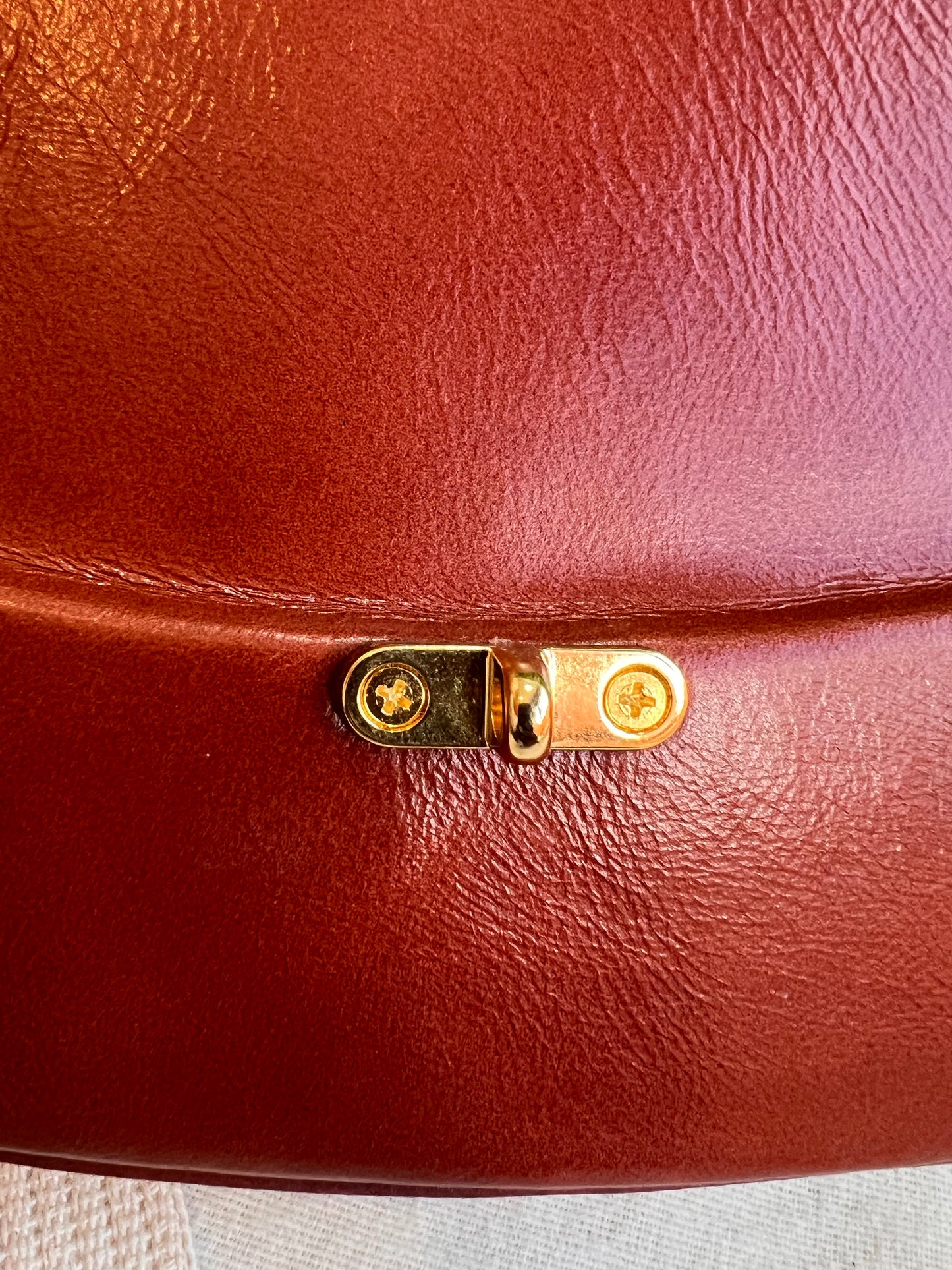 Nathalia Tolentino bicolor