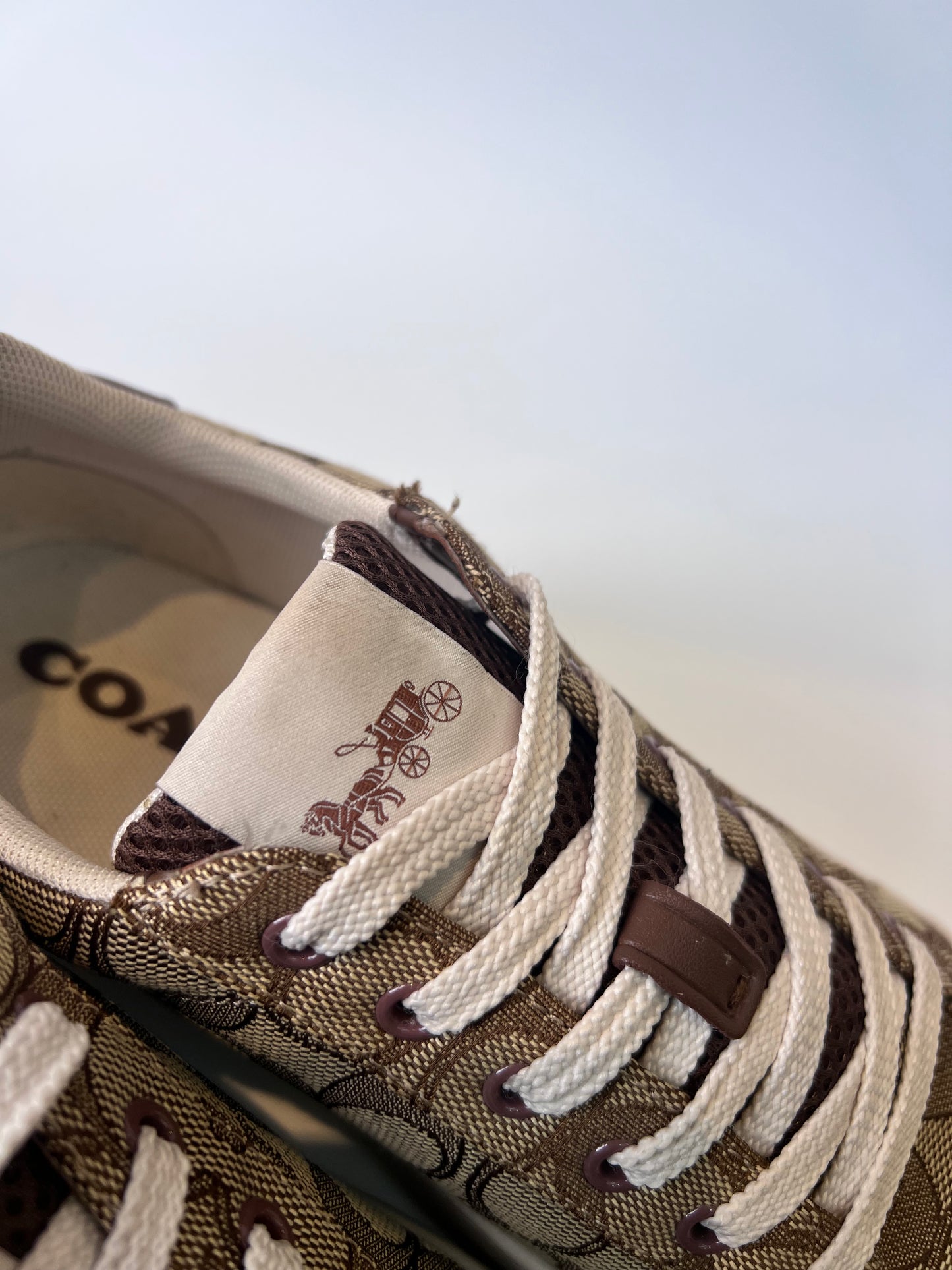 Tenis Coach Clip Low Top