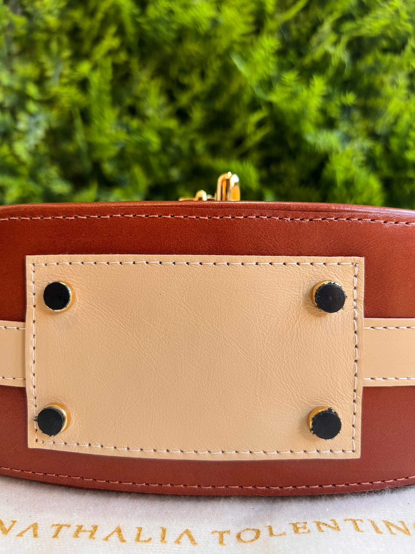 Nathalia Tolentino bicolor