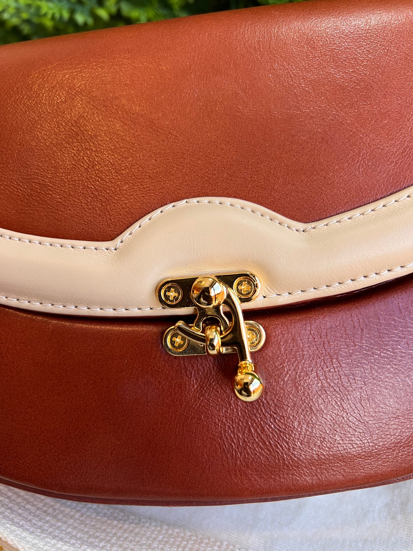 Nathalia Tolentino bicolor