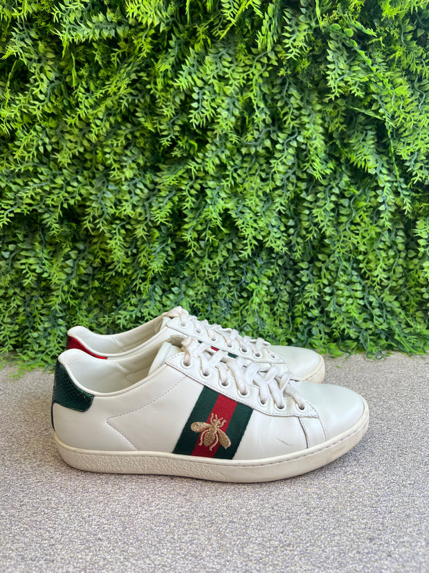 Tênis Gucci Bee Off White