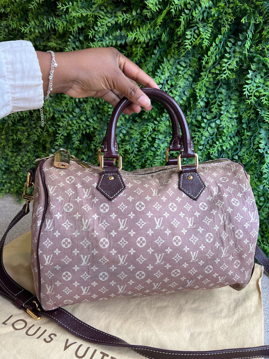Louis Vuitton Speedy Bandouliere Mini Lin