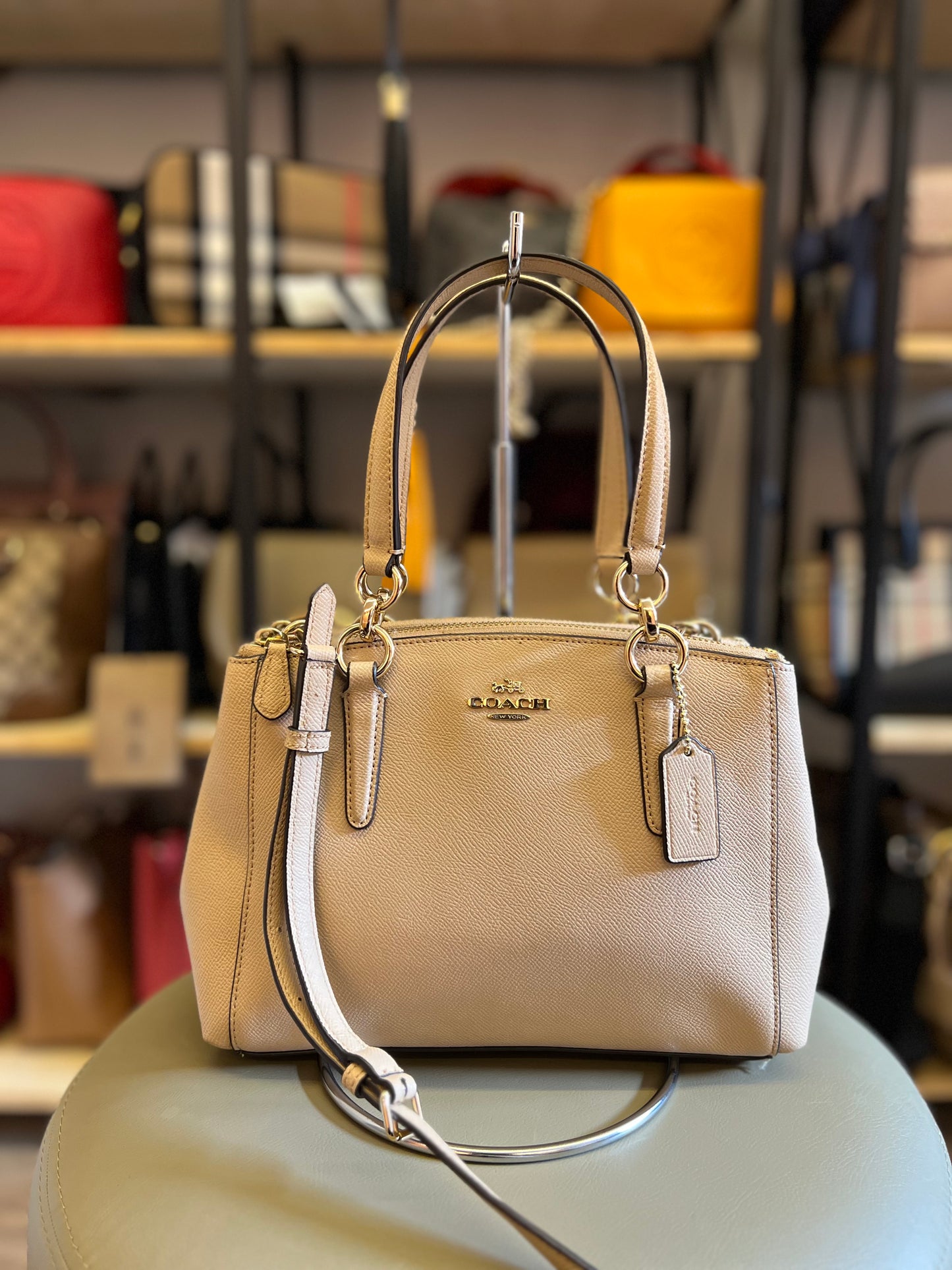 Coach Carryall Nude