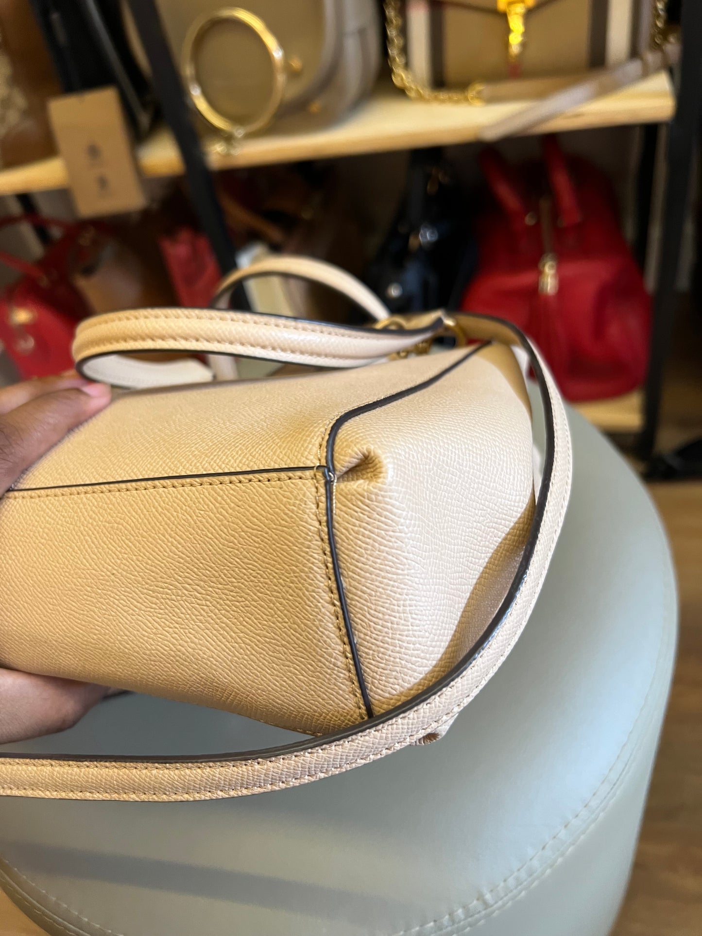Coach Carryall Nude