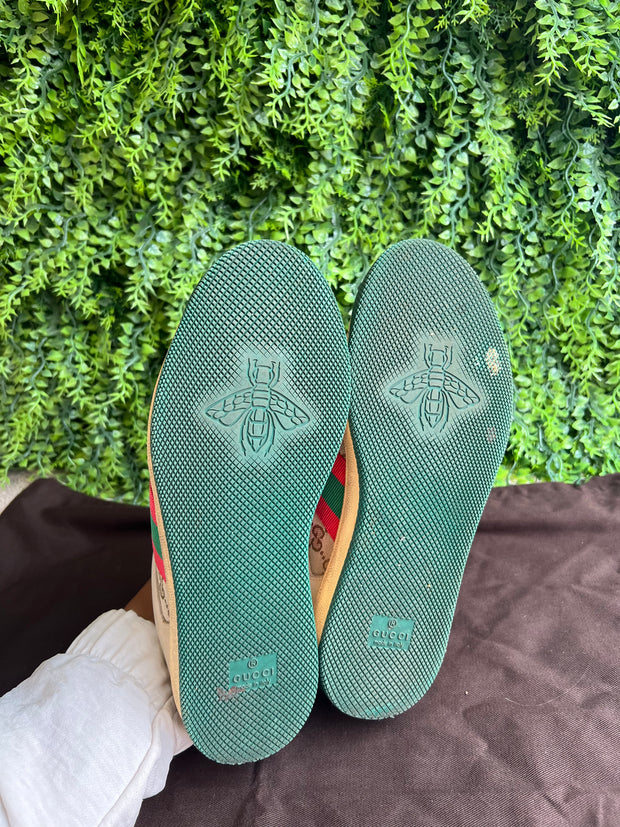 Tênis Gucci GG Screener Verde