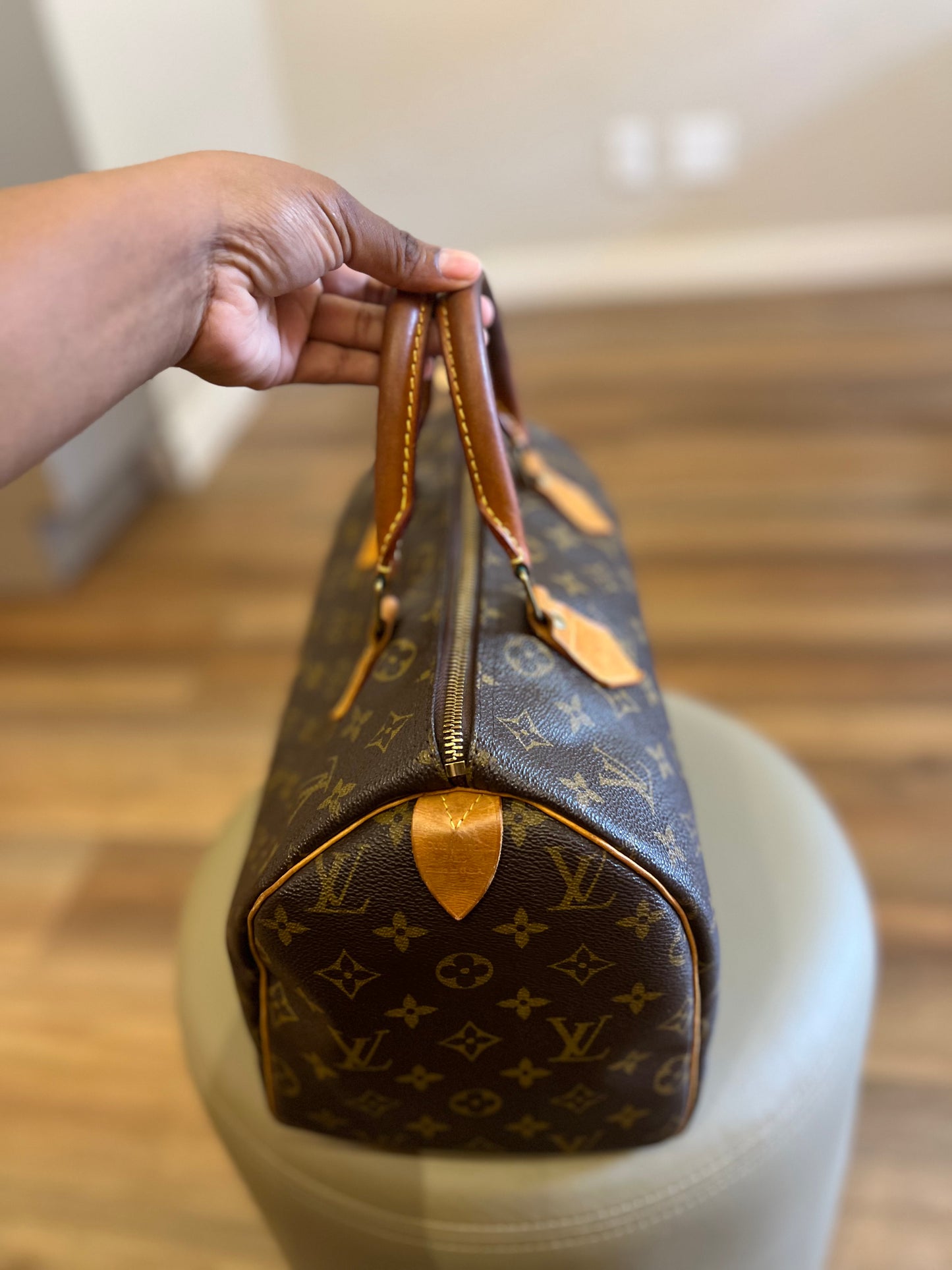 Louis Vuitton Speedy 30 Monograma