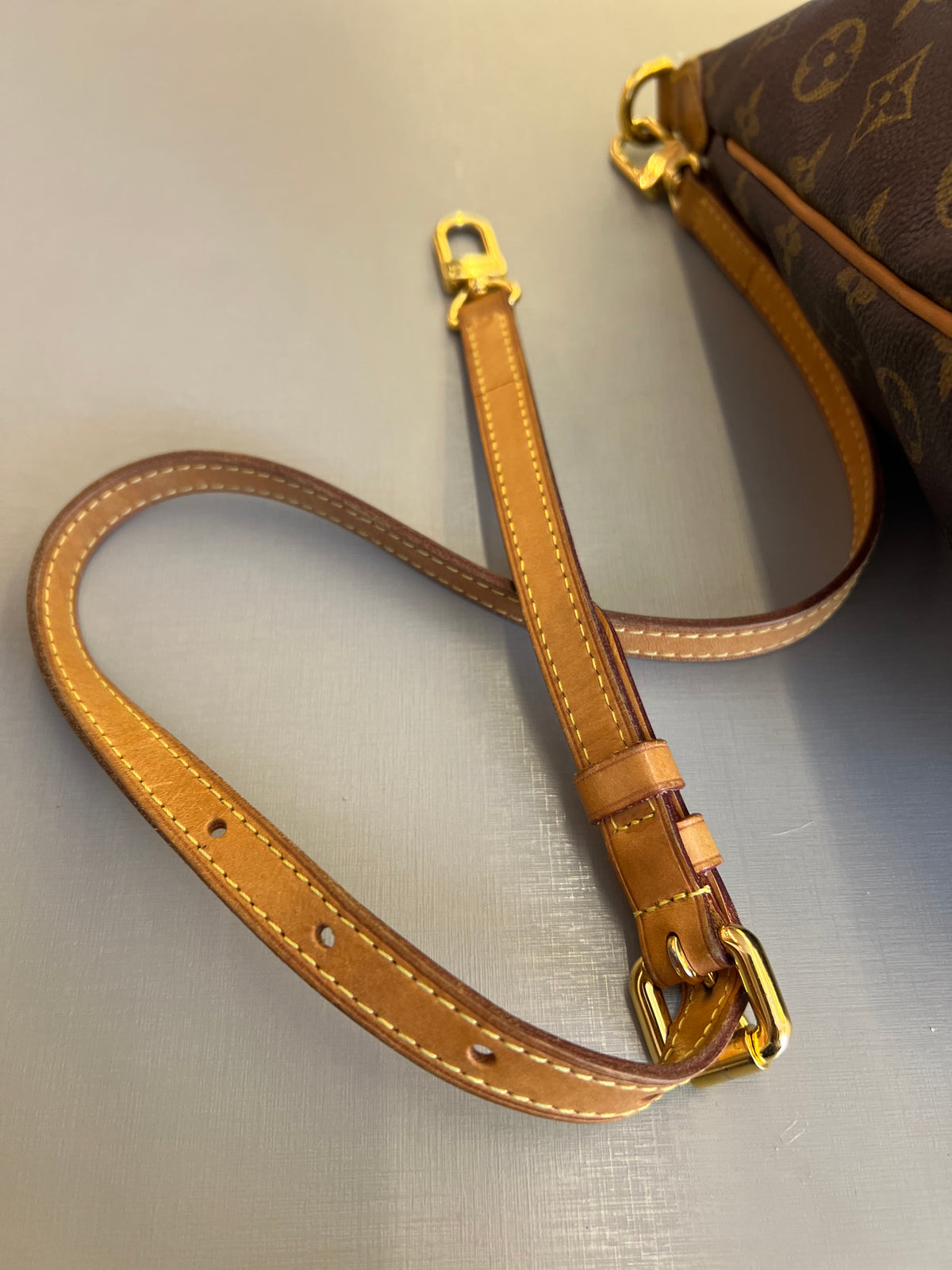 Louis Vuitton Pallermo MM Monograma