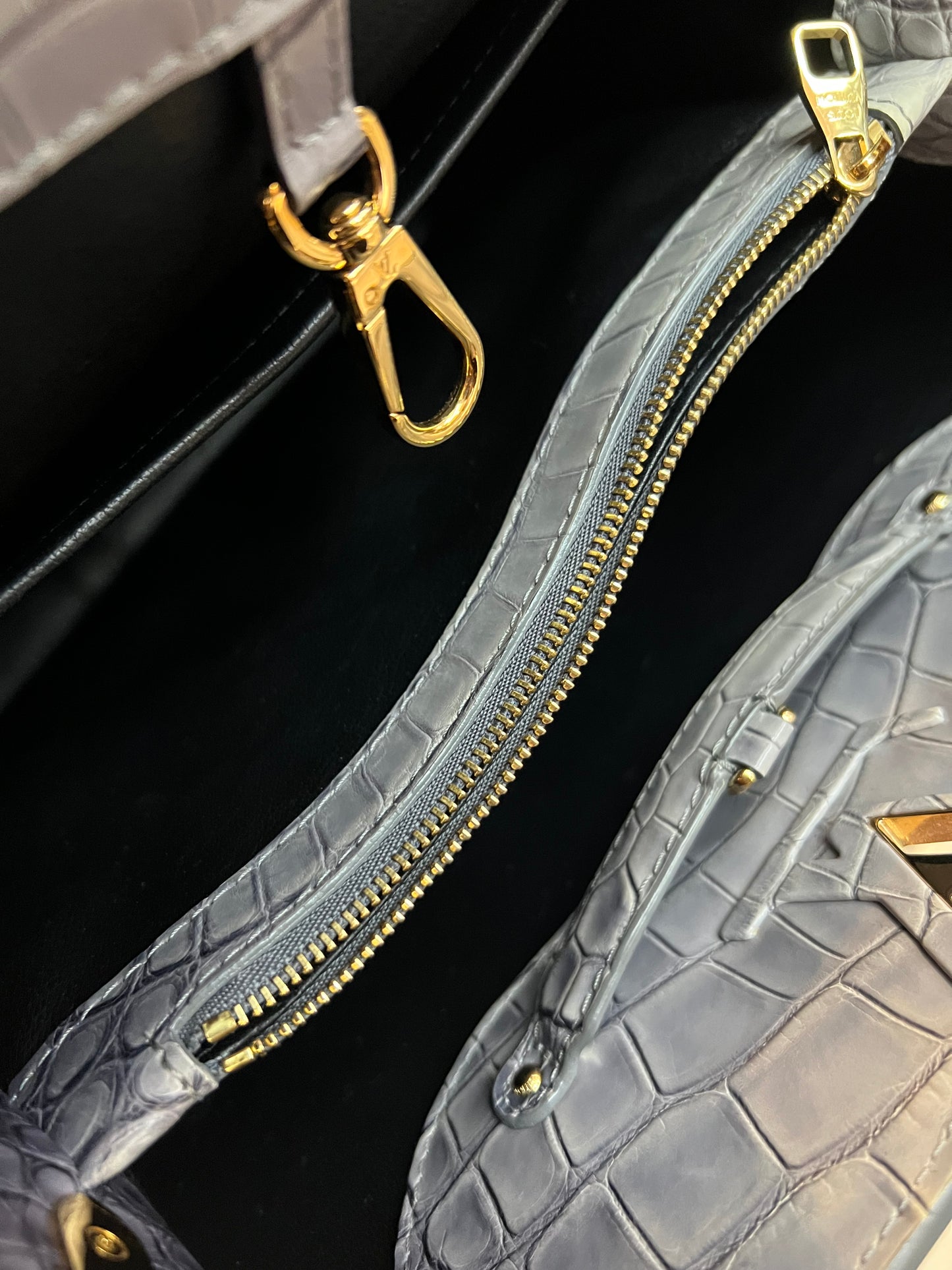 Louis Vuitton Capucines Croco