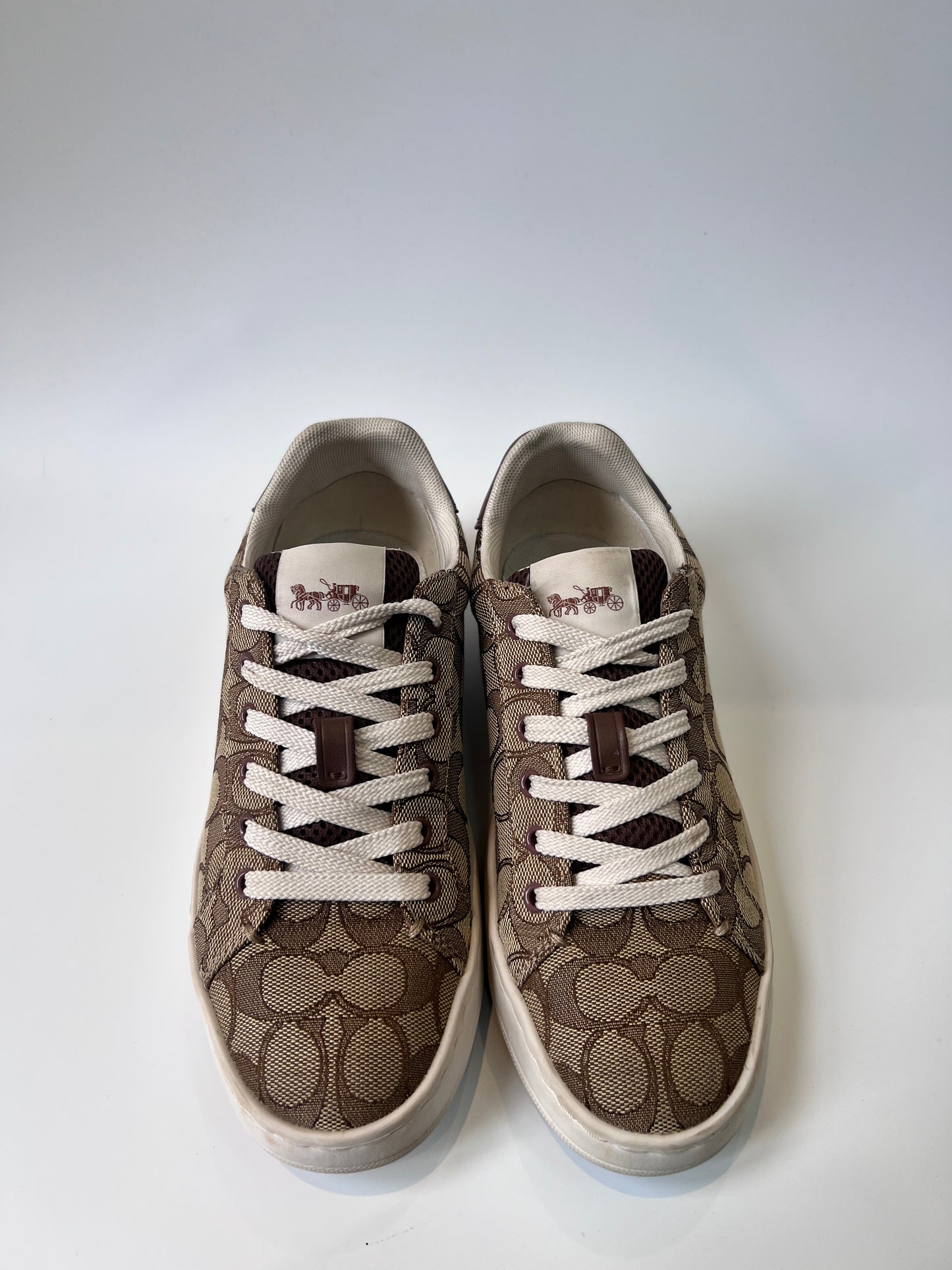 Tenis Coach Clip Low Top