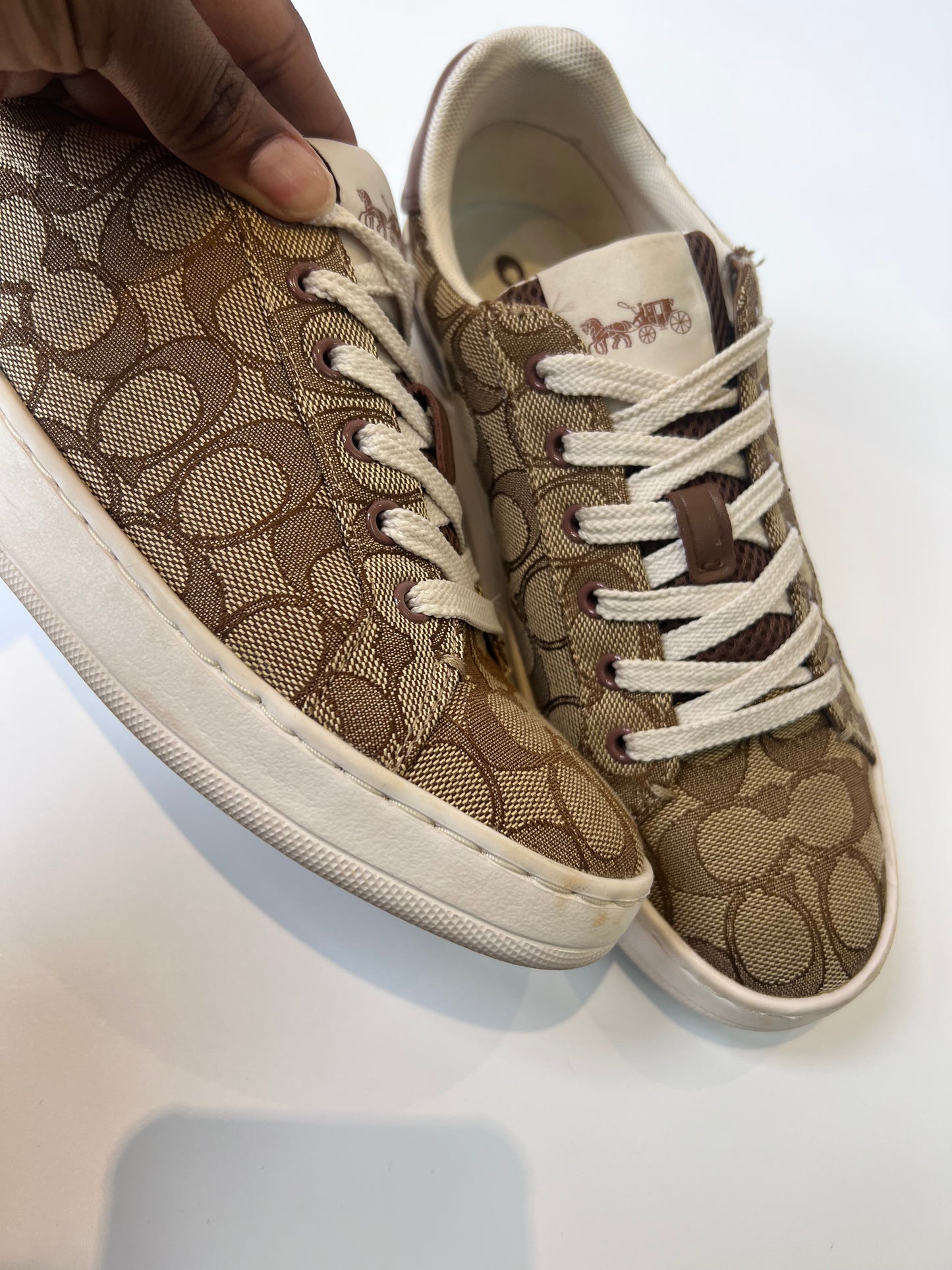 Tenis Coach Clip Low Top