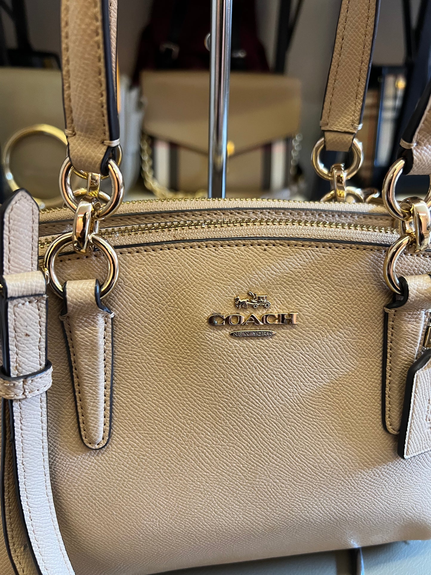 Coach Carryall Nude