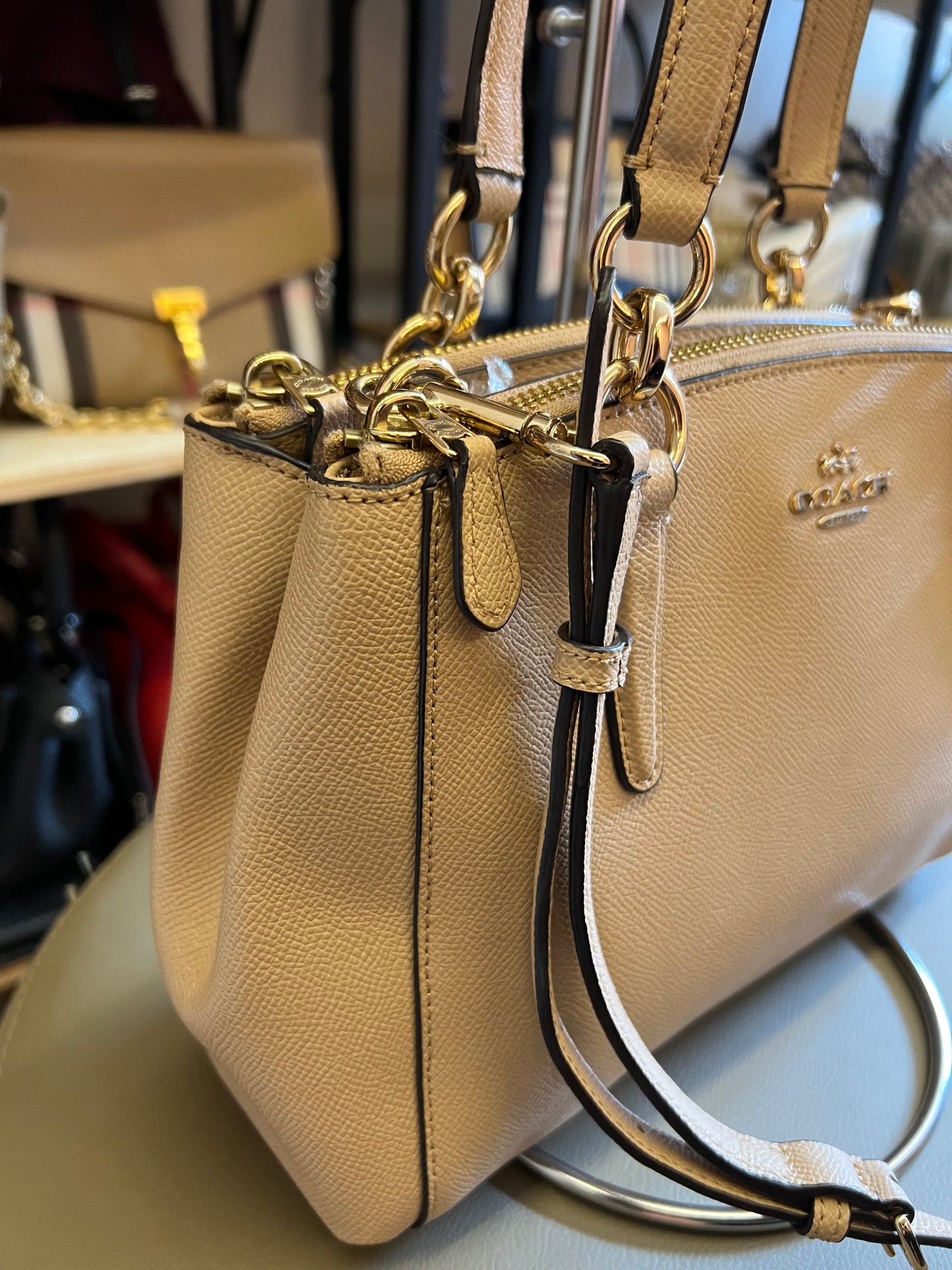 Coach Carryall Nude