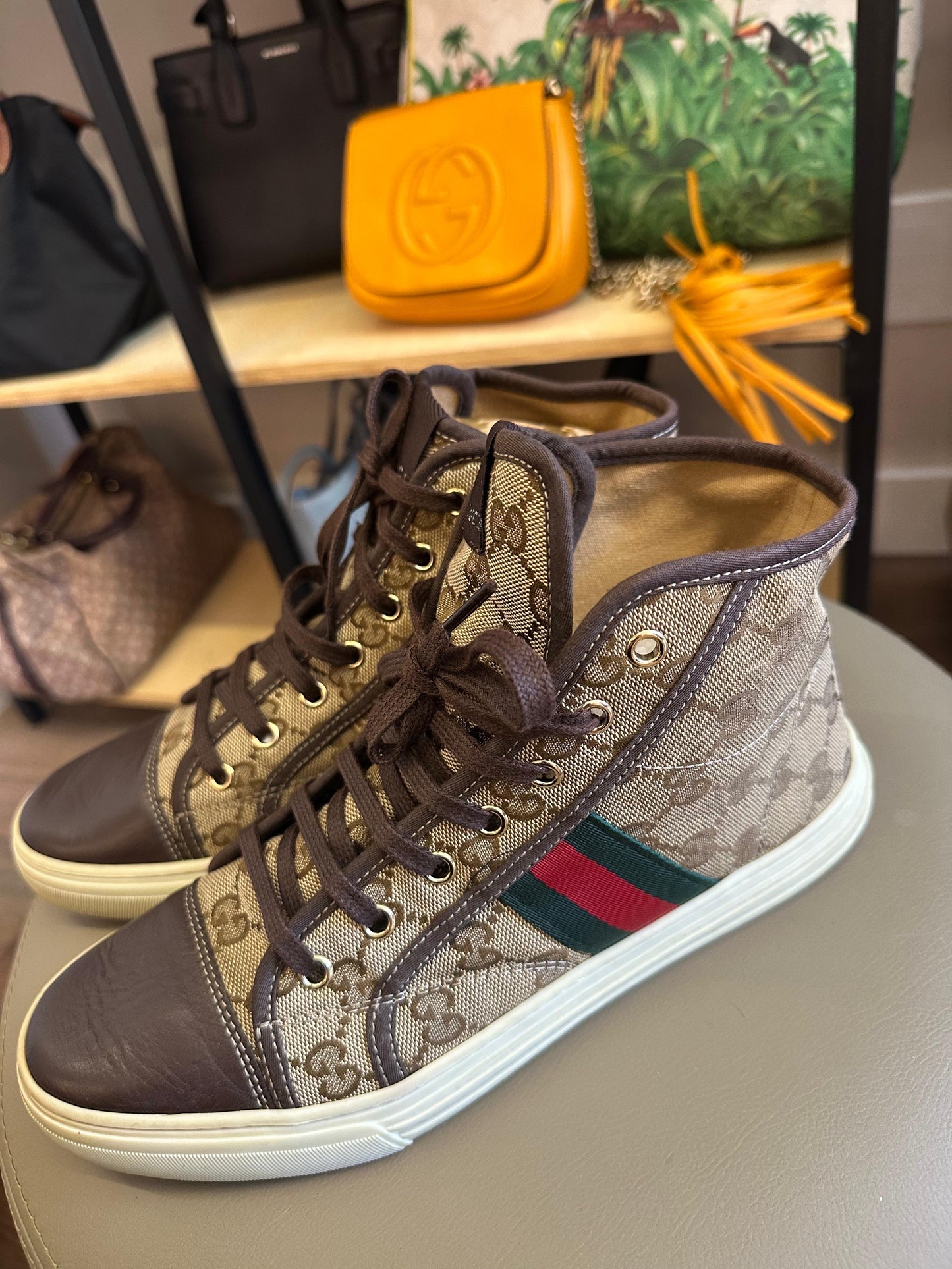Tenis Gucci 1977 Monograma Cano longo