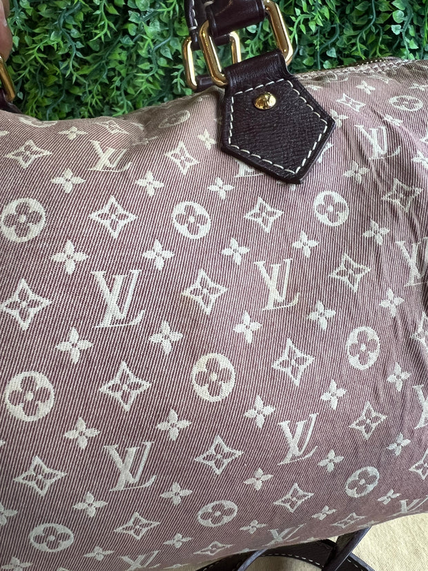 Louis Vuitton Speedy Bandouliere Mini Lin