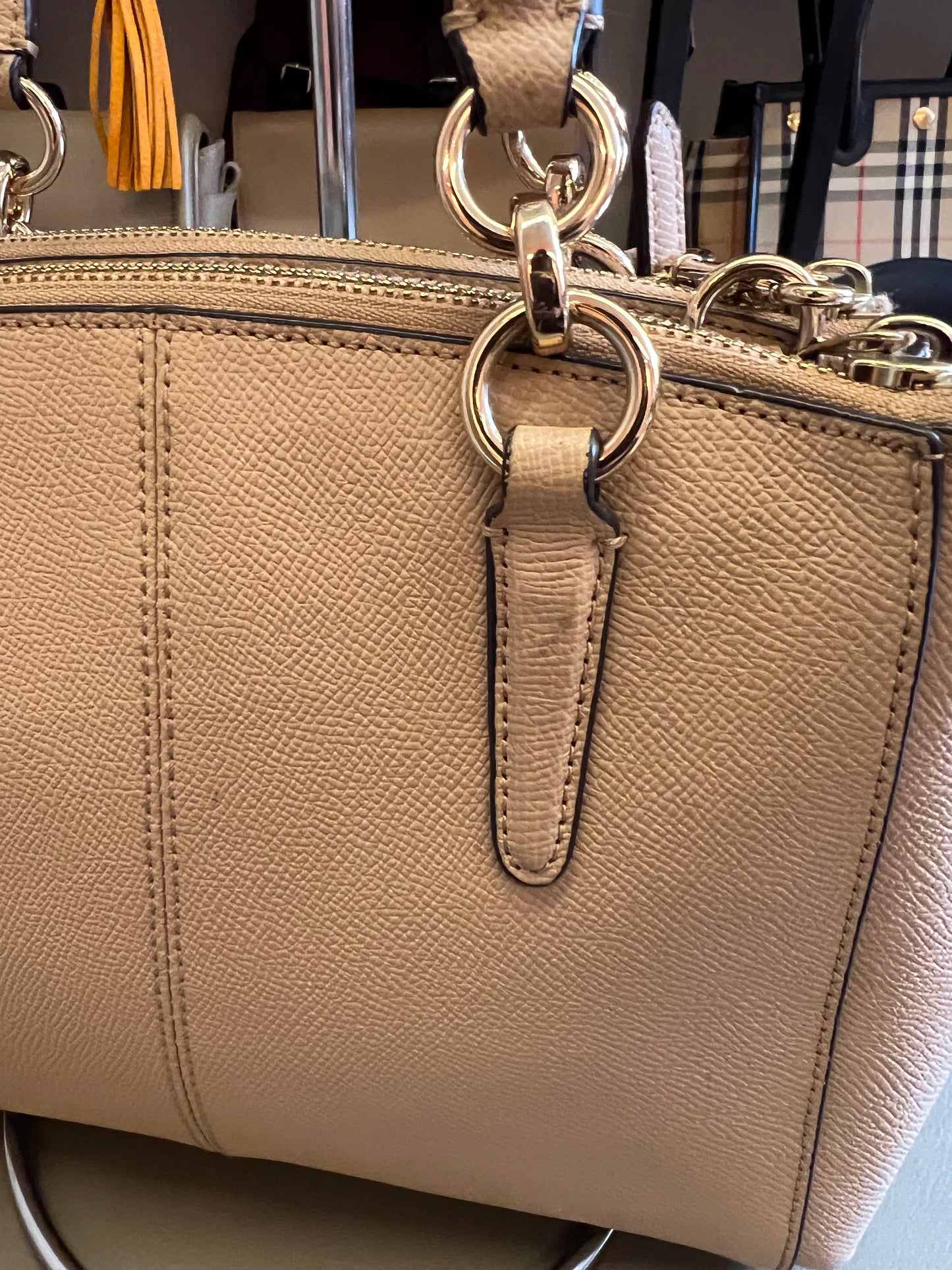 Coach Carryall Nude