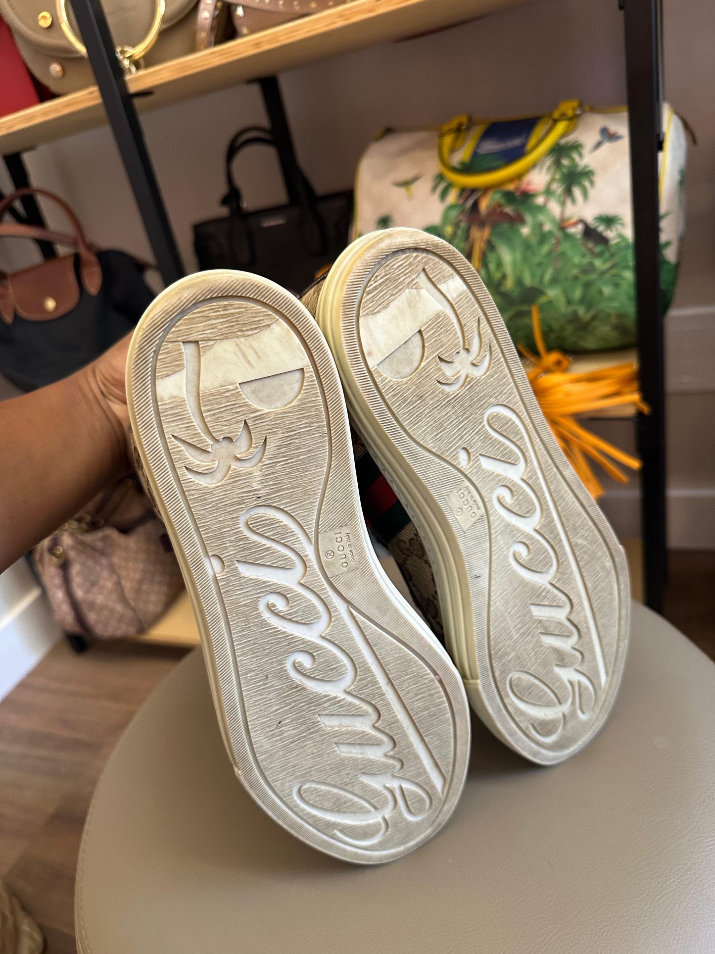 Tenis Gucci 1977 Monograma Cano longo