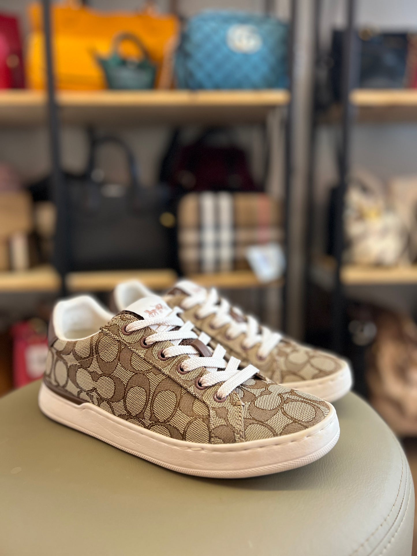 Tenis Coach Clip Low Top