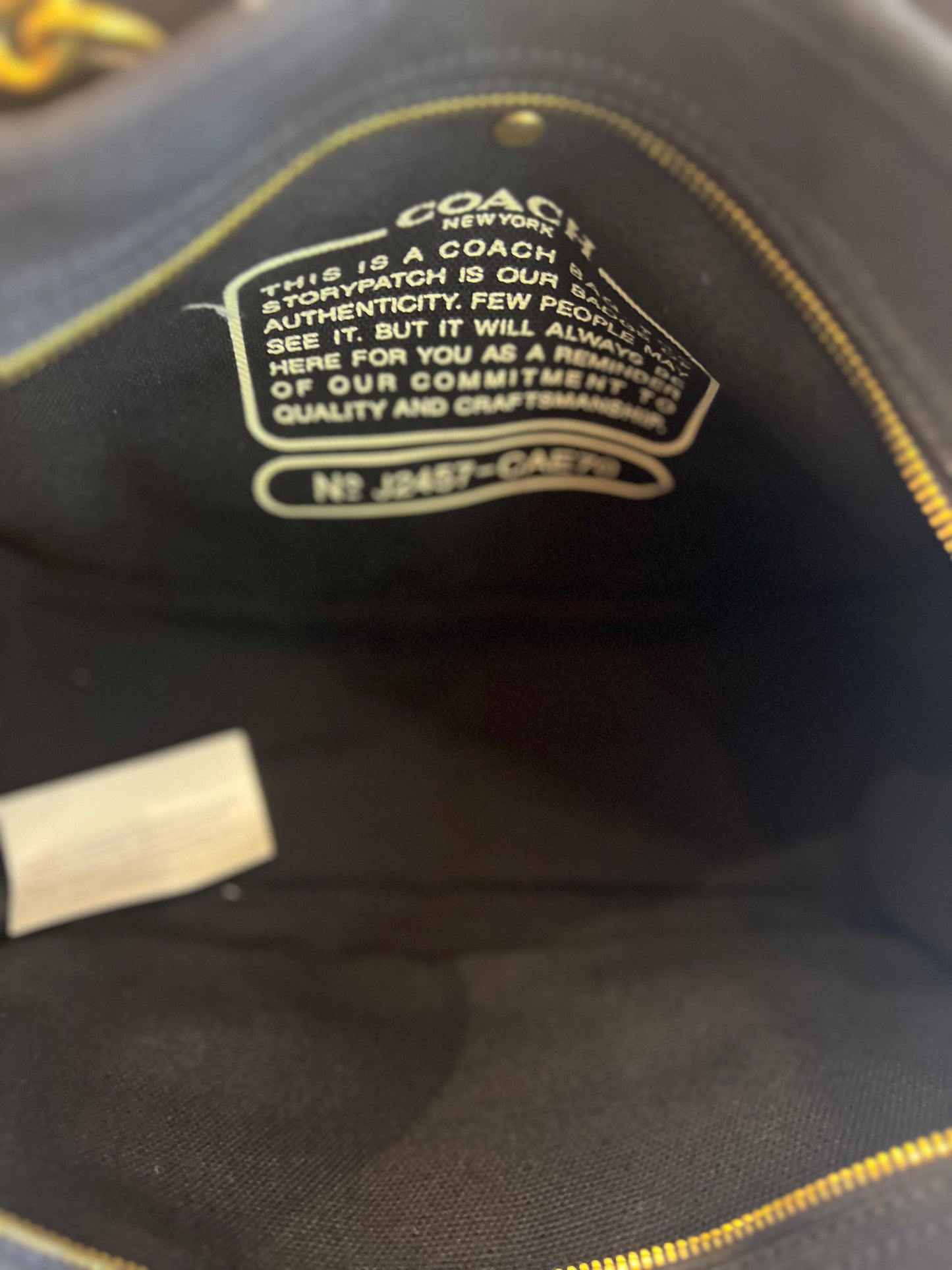 Coach Tote Mickey