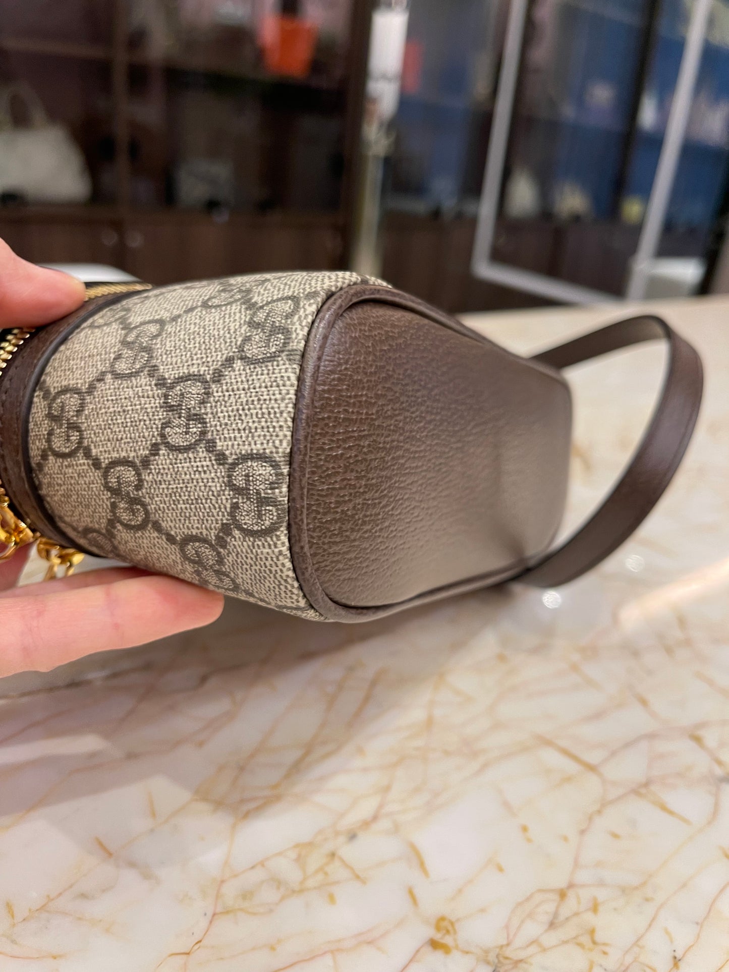 Gucci Ophidia Vanity Small