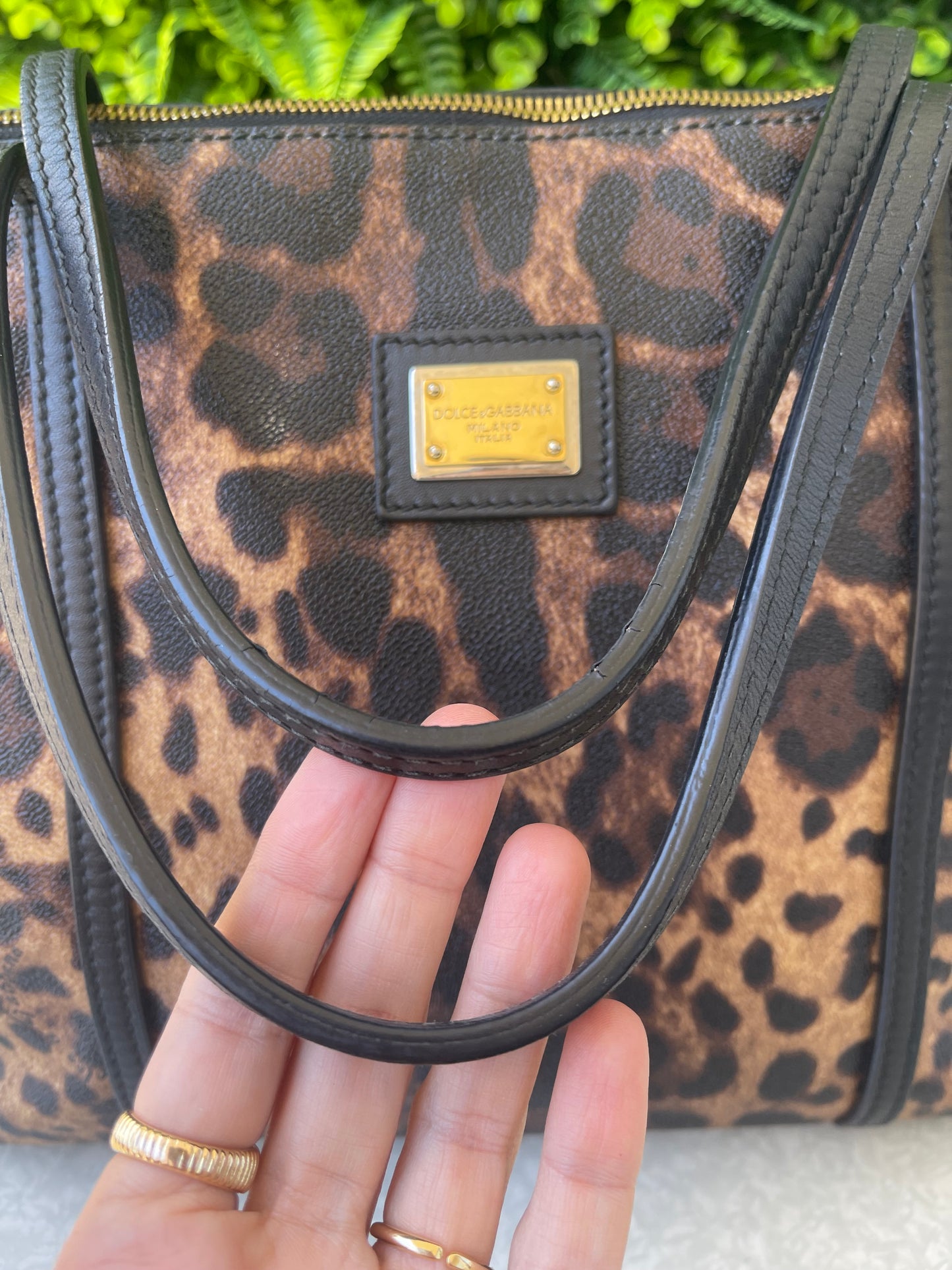 Dolce & Gabbana Miss Escape Leopard